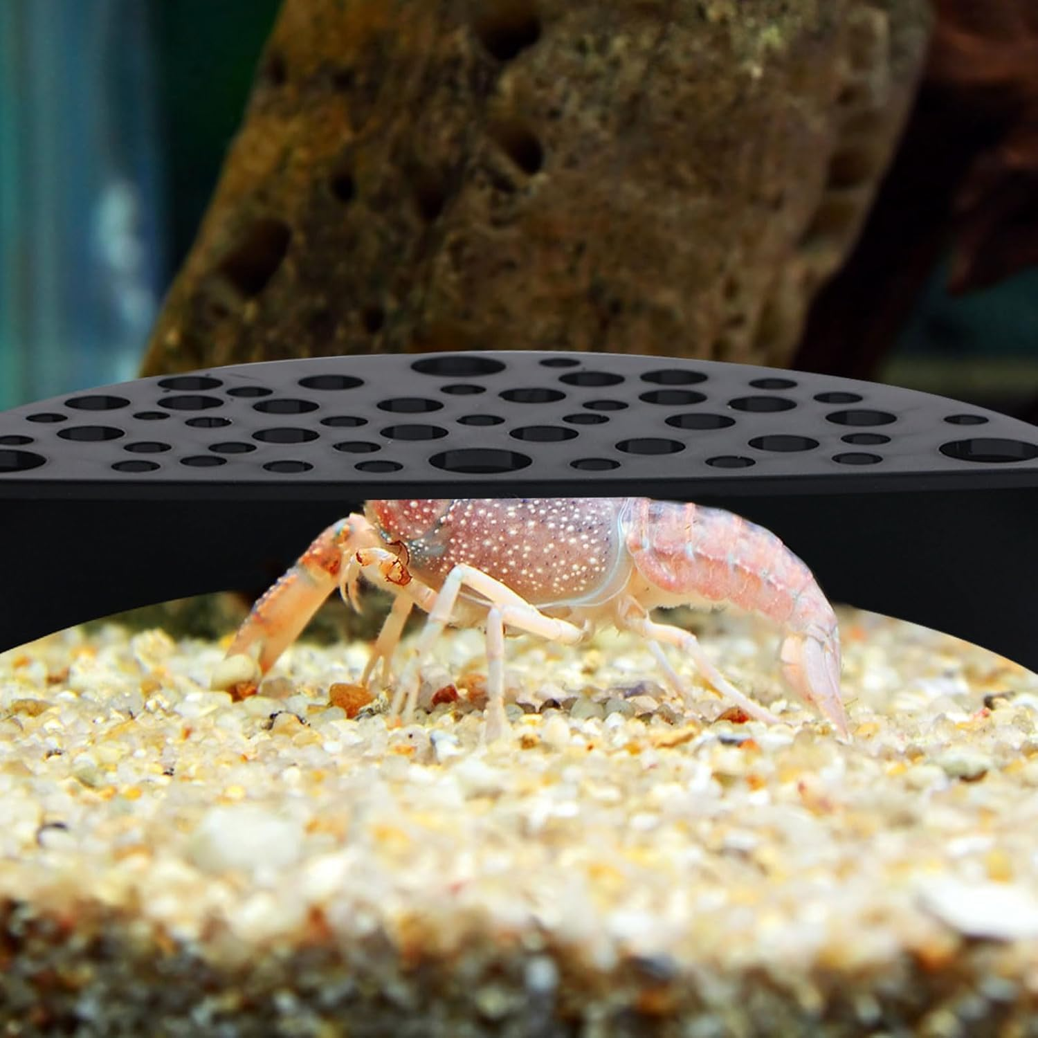 Wzenclave Shrimp Hides for Aquarium, Black Plastic Shrimp Cave Shelters & Small Fish Tunnel for Breeding, Durable Aquarium Hideout Decor, Tank Accessories for Shrimp and Small Fish image number 3