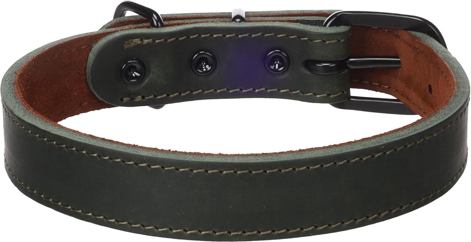 Dog Collar Montana Green M/L 38,5-48,5Cm 25Mm