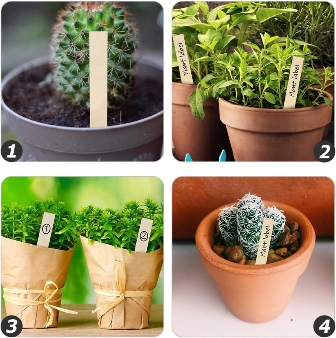 30Pcs Wooden Plant Labels Garden Markers for Vegetable and Flower Beds 2X15Cm Linden Wood Reusable Name Tags for Bonsai and Gardening Supplies image number 1