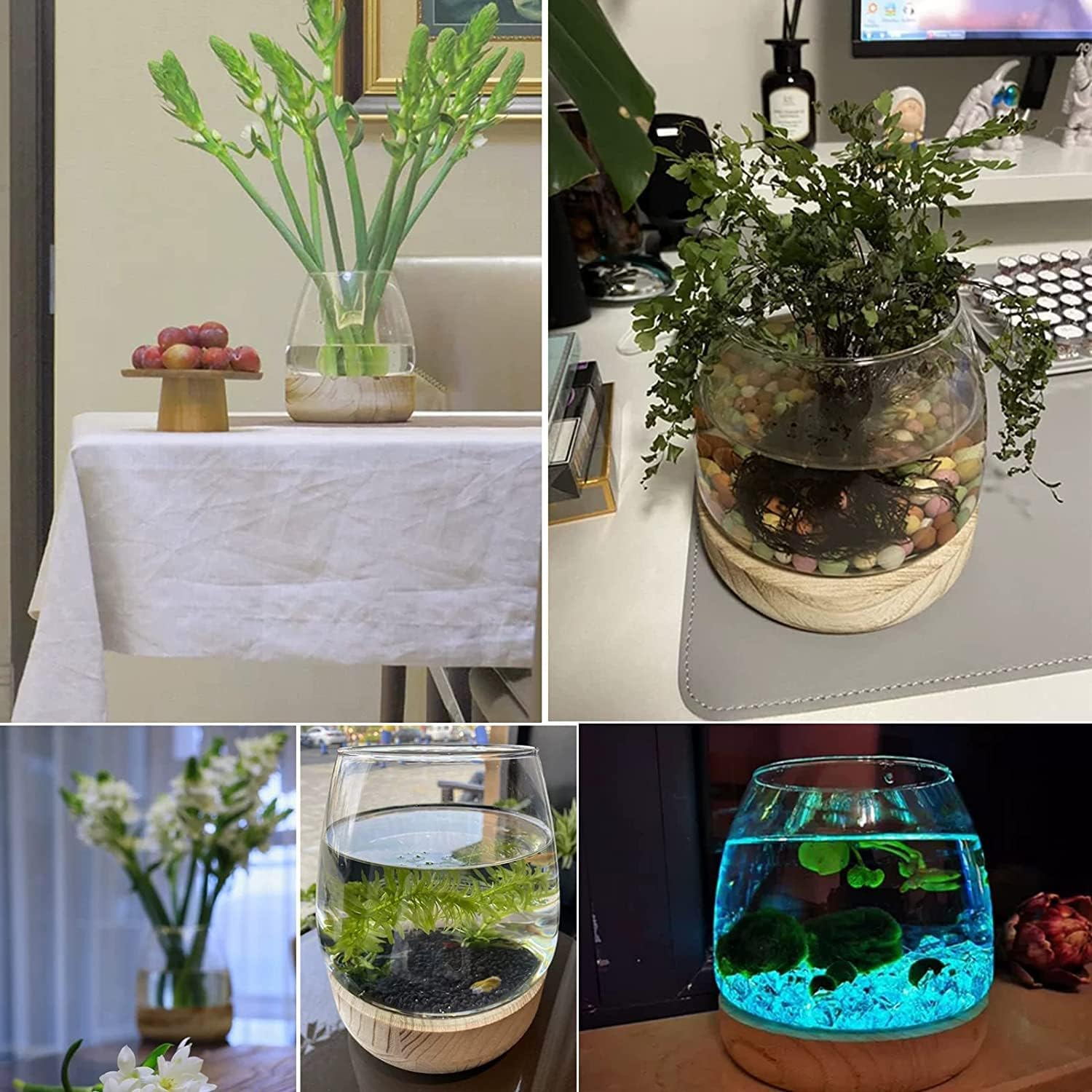 Glass Hydroponic Plant Terrarium, Clear Glass Fish Tank Bowl for Plant and Betta Fish, Unique Fish Bowl Aquarium with Wood Base Zzhugyin (C) image number 4
