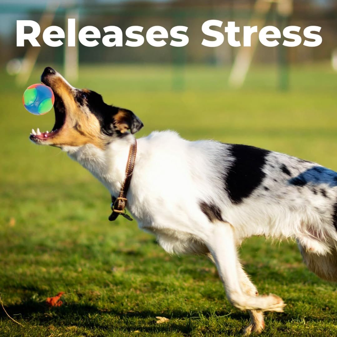 Small, Large, 5Cm/2In, 7Cm/2.8In Light-Up Cat & Dog Flashing Elastic Ball Bouncy Works in the Dark Interactive Jumping Blinking Toys for Pets (1 Pc Large Smooth Ball) image number 4