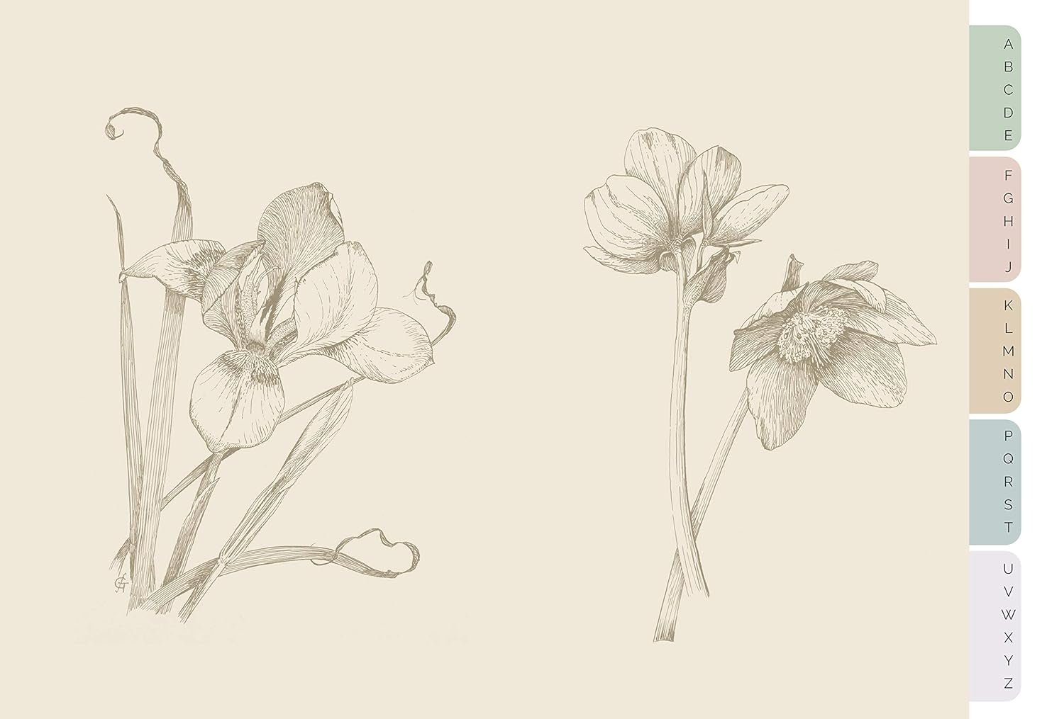 Royal Horticultural Society Desk Address Book image number 3