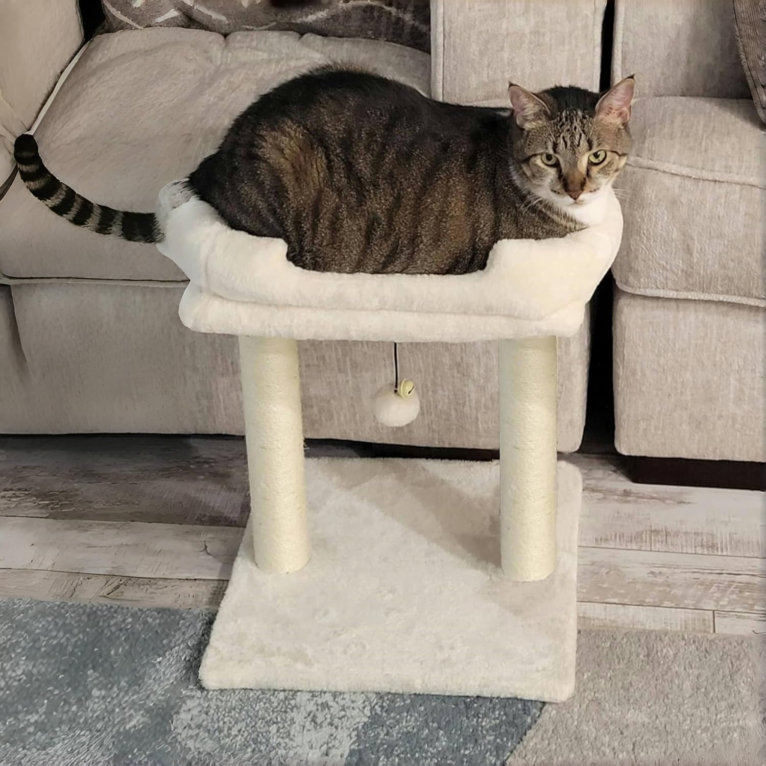 Cat Tree with Top Perch, Removable Cover, Natural Sisal Scratching Post, and Dangling Ball for Indoor Cats, Beige image number 6