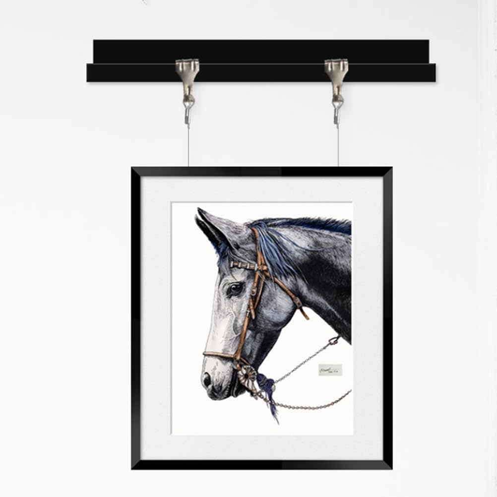 VILLFUL 10Sets Picture Hanging Wire Hooks Kit Picture Rail Hanging System with Cable Hooks for Wall Art Display and Photo Framing image number 2