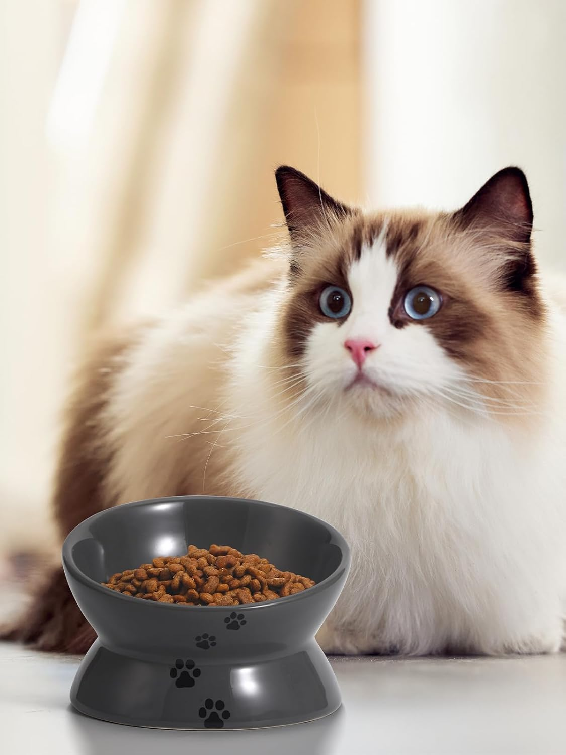 Y YHY Raised Cat Food Bowl, Ceramic Elevated Cat Bowl, Title Angle Protect Cat'S Spine, anti Vomiting Cat Dish, Backflow Prevention, Grey image number 2