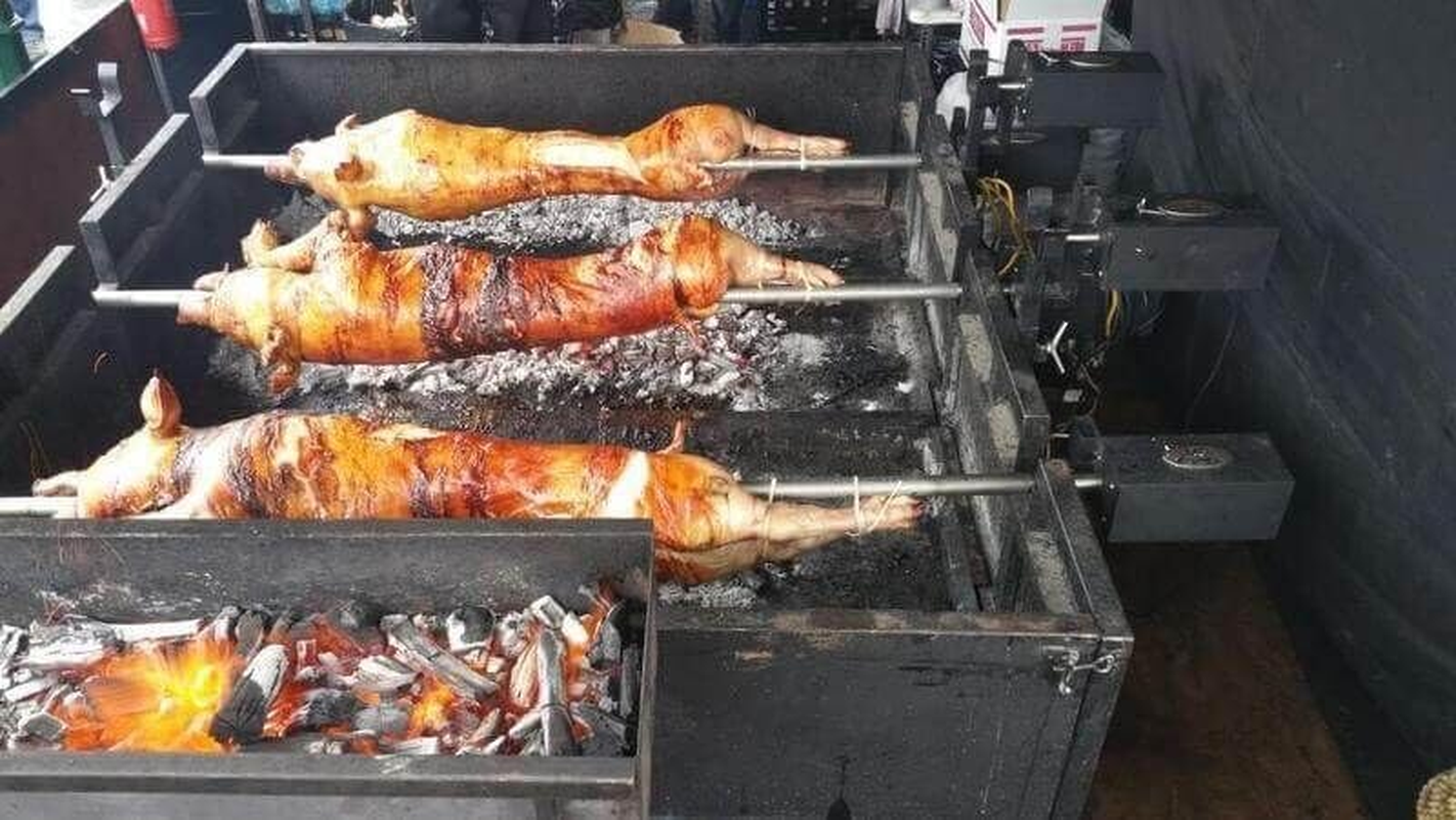 Spit Roast Motor-Heavy Duty Catering Quality-Australian Designed- 60Kg Pig Motor image number 3