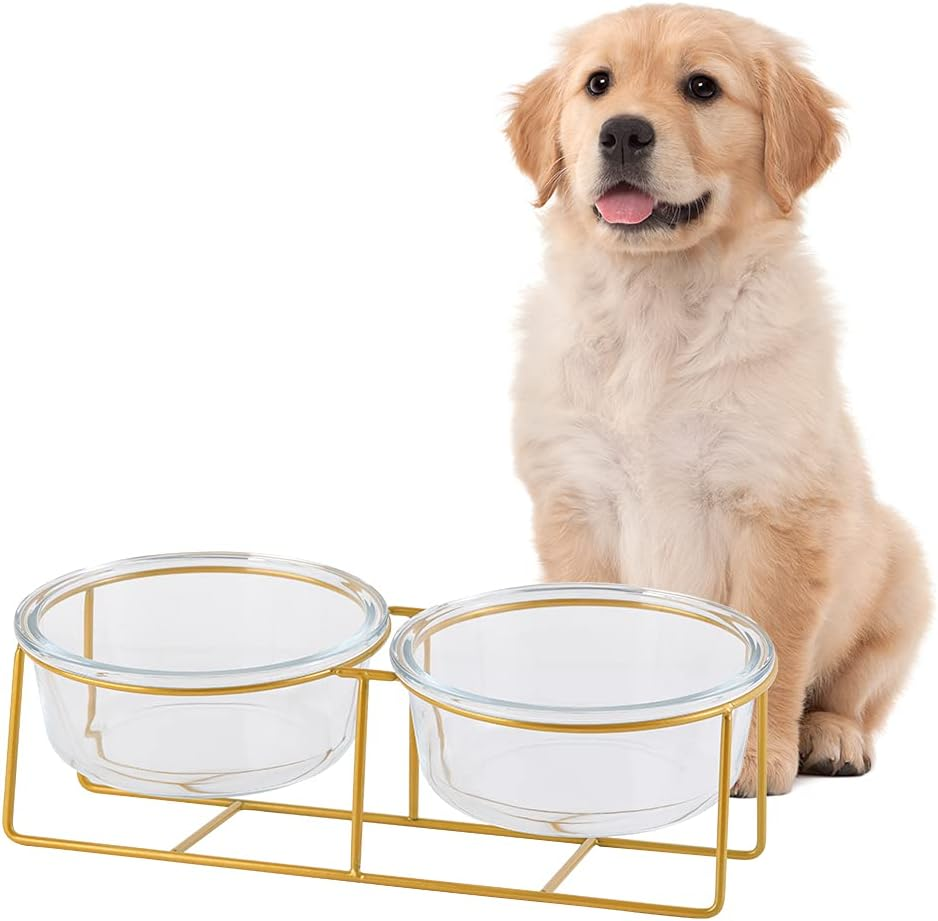 Small Double Elevated Dog Bowls - Raised Dog Bowl - Glass Dog Cat Bowl Set for Food and Water - Pet Comfort Feeding Bowls with Gold Iron Stand