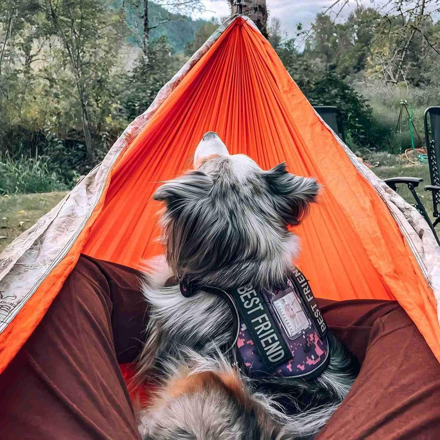 Auroth Tactical Dog Harness for Small Medium Large Dogs No Pull Adjustable Pet Harness Reflective K9 Working Training Easy Control Pet Vest Military Service Dog Harnesses (L, Purple Camo) image number 1