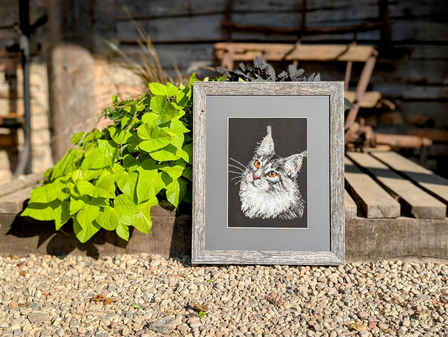 Riolis Maine Coon Cross Stitch Kit &ndash; 1599 Cotton Multi-Color, 21 X 30 X 0.1 Cm image number 1