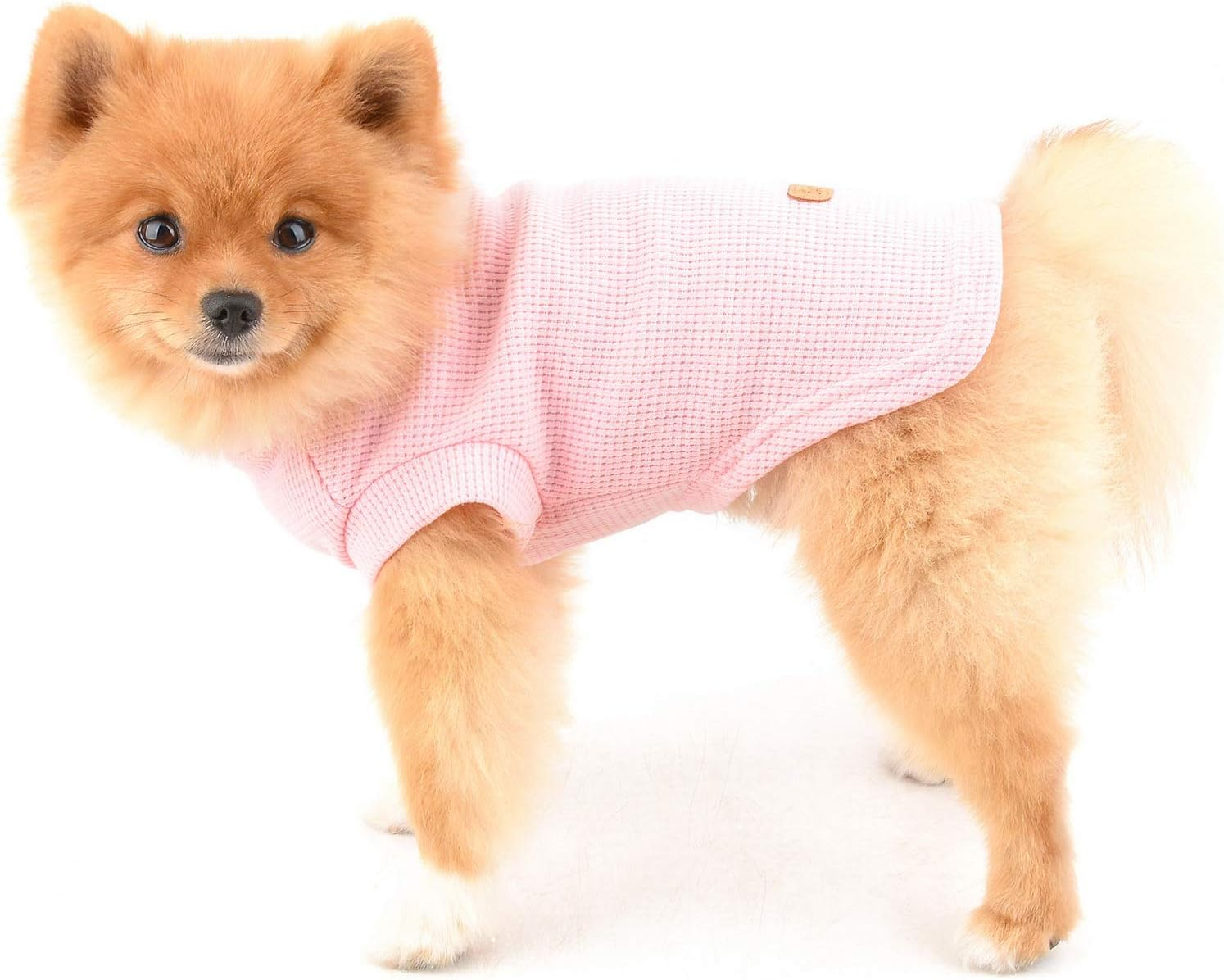PAIDEFUL Dog Shirts for Small Medium Dogs Cats Boys Girls Solid Color Soft Cotton Vest Tee Seeveless Breathable Tank Tops Puppy Chihuahua Yorkie Clothes T Shirts Pet Summer Wearing Outdoor image number 7