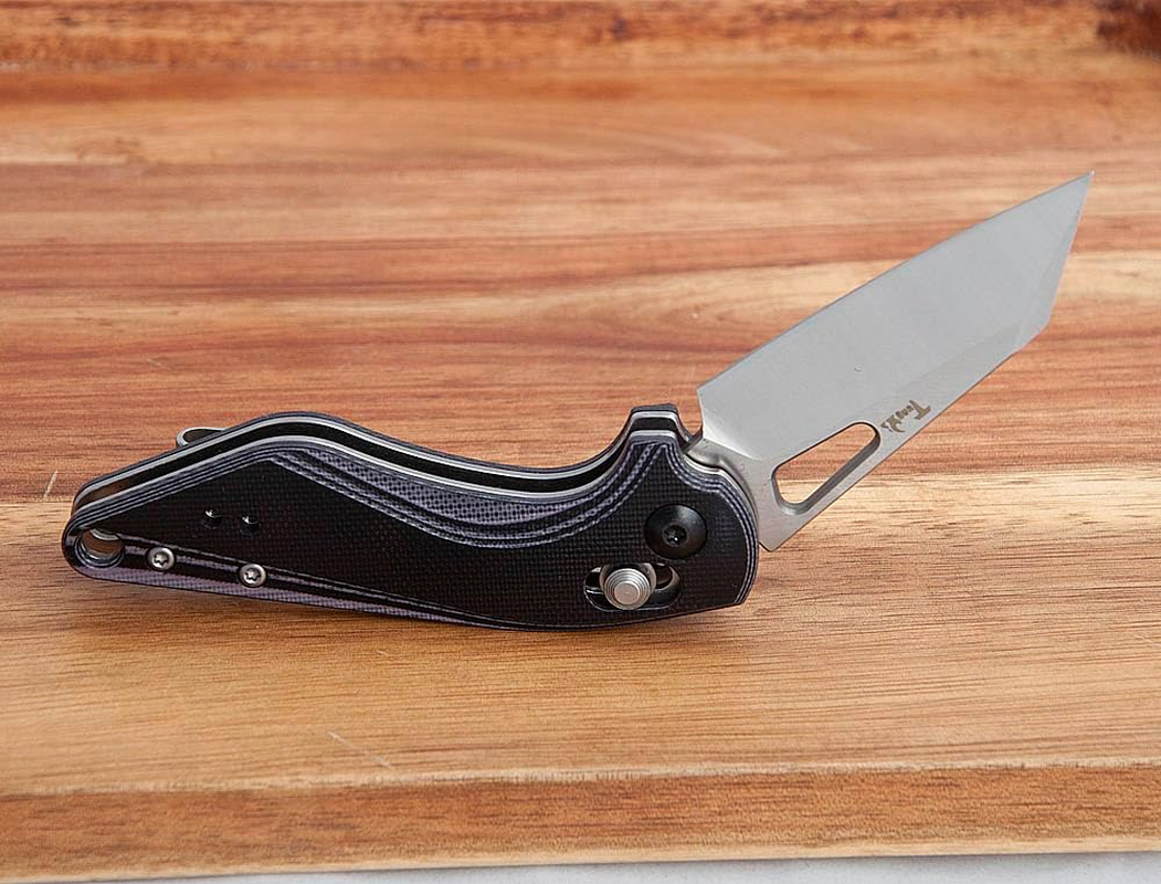 Tungyi Pocket Folding Knife, 2.3 Inch D2 Steel Blade, G10 Handle, Small EDC Knife with Pocket Clip for Left and Right Hand, Great for Everyday Carry Camping Hiking Great Outdoor Gifts for Men Women image number 1