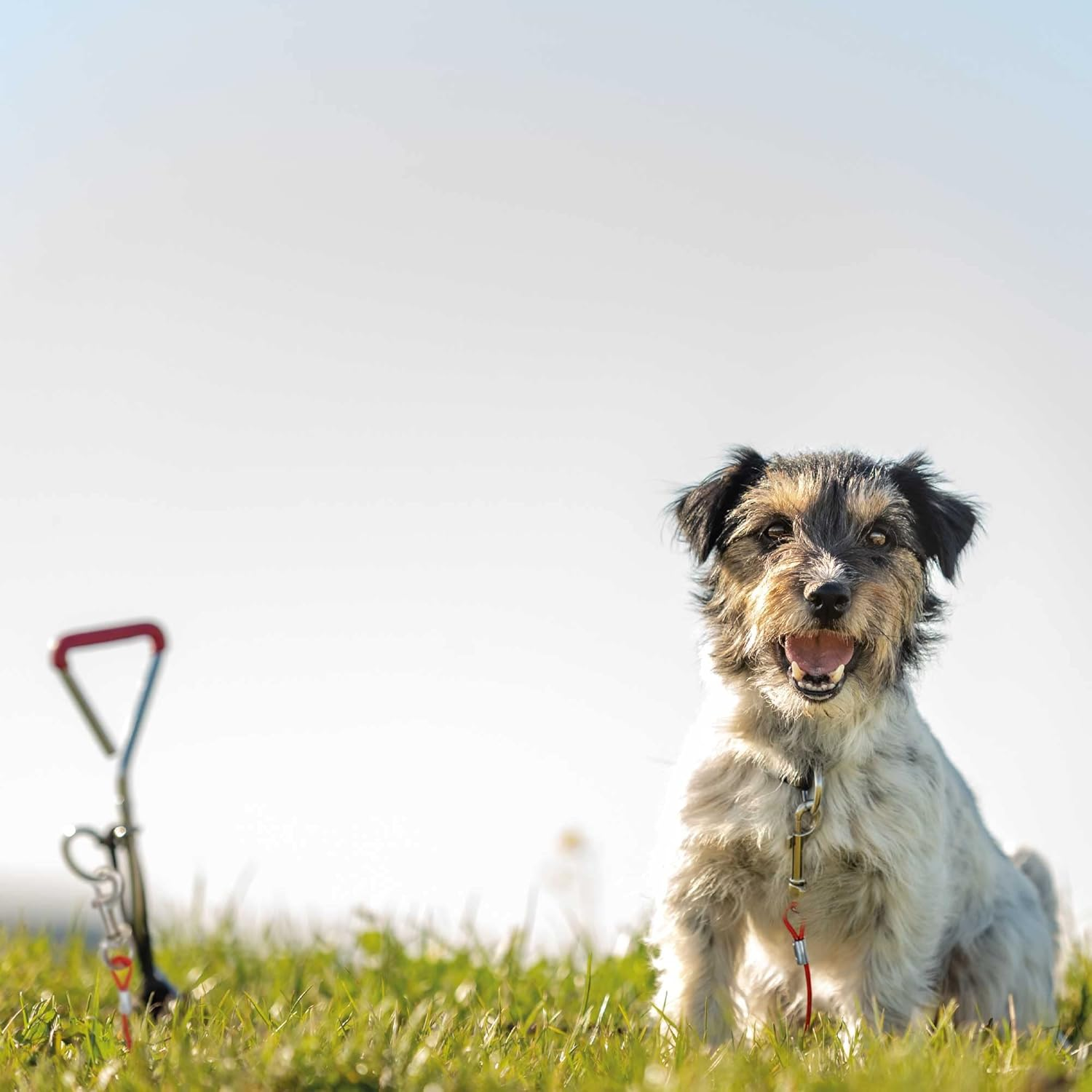 Trixie Galvanized Stake Out Spike, image number 3