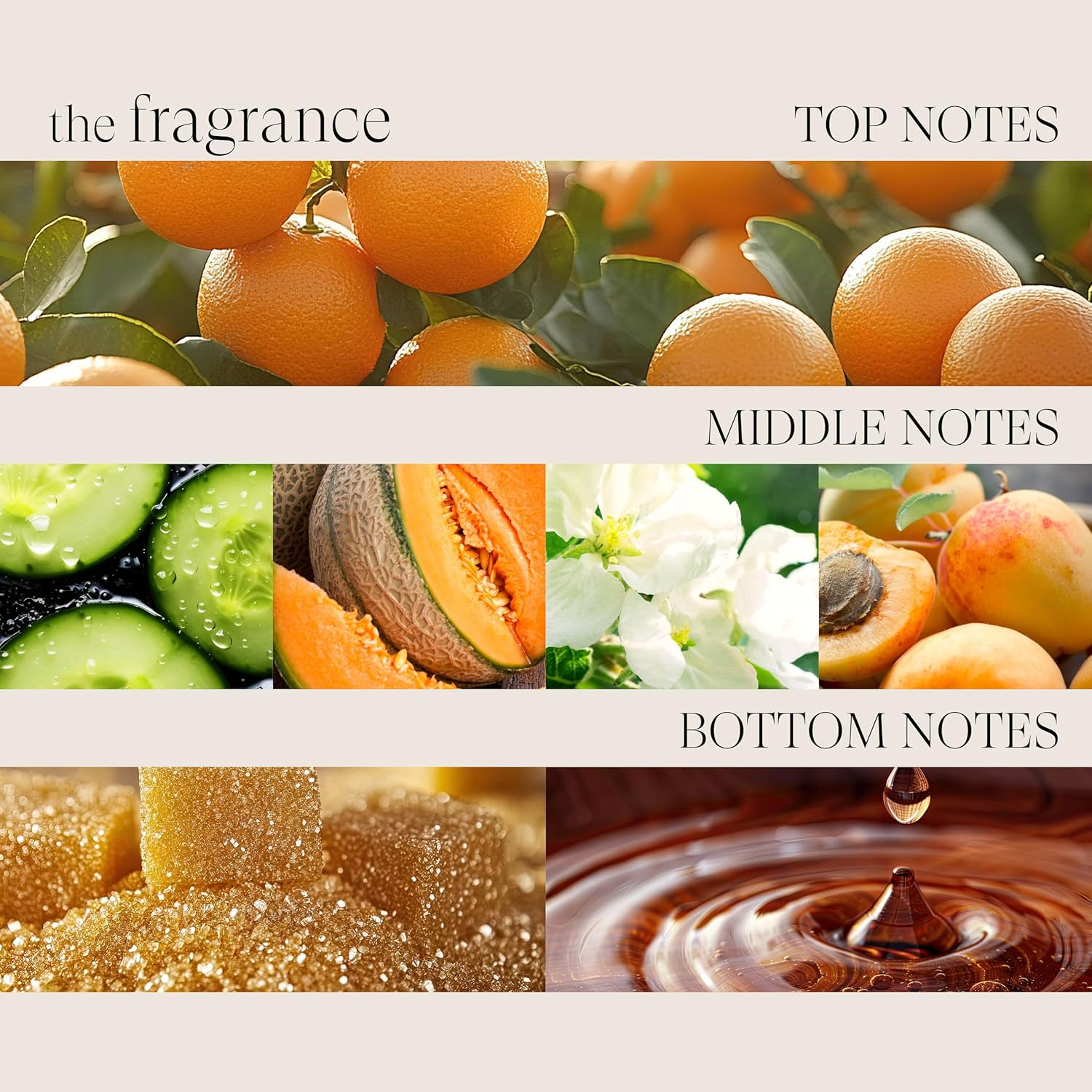 L&rsquo;ANZA Healing Strength Manuka Honey Conditioner, 33.8 Oz. image number 1