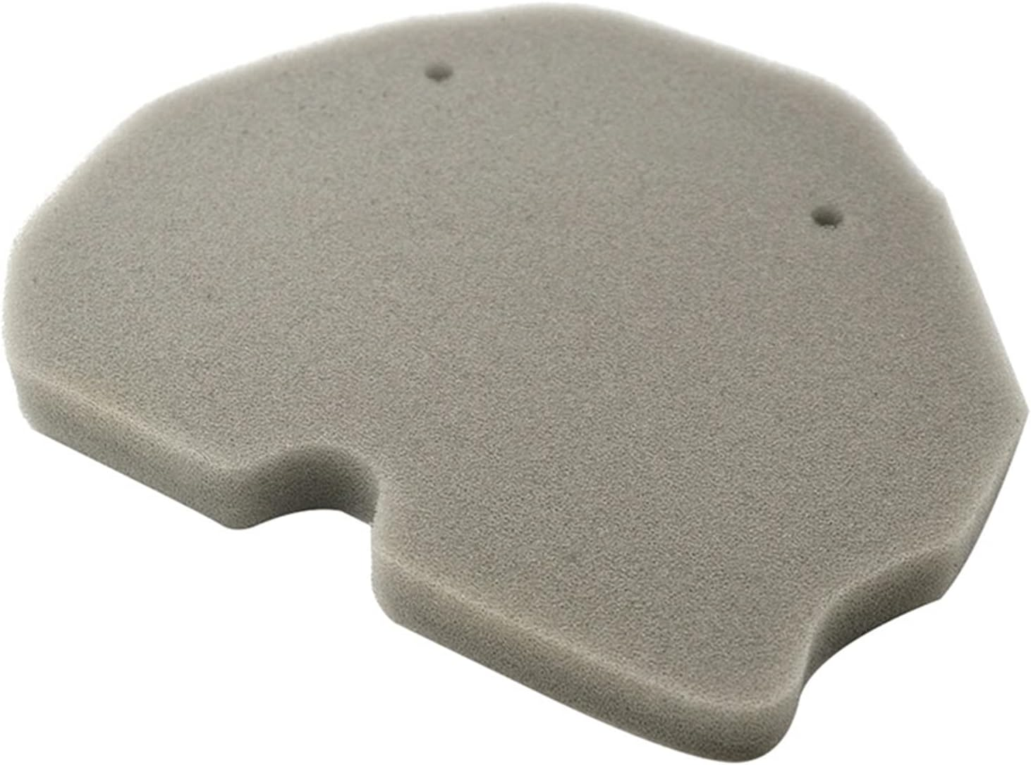 CAREG Cross Motorcycle Parts Air Filter Cleaner Compatible with Benelli BJ600GS BJ600 BJ300GS BJ300 TNT600 BJ 600GS TNT 600 GS 300 Durable