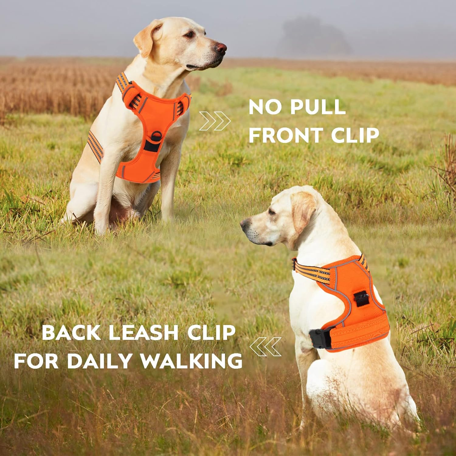 No Pull Dog Harness for Small Medium Large Dogs Adjustable Reflective Pet Vest with Front Clip Padded Harness for Dogs Easy Control Handle Best for Outdoor Training and Walking Orange S - Medium, Black Harness+Leash image number 2