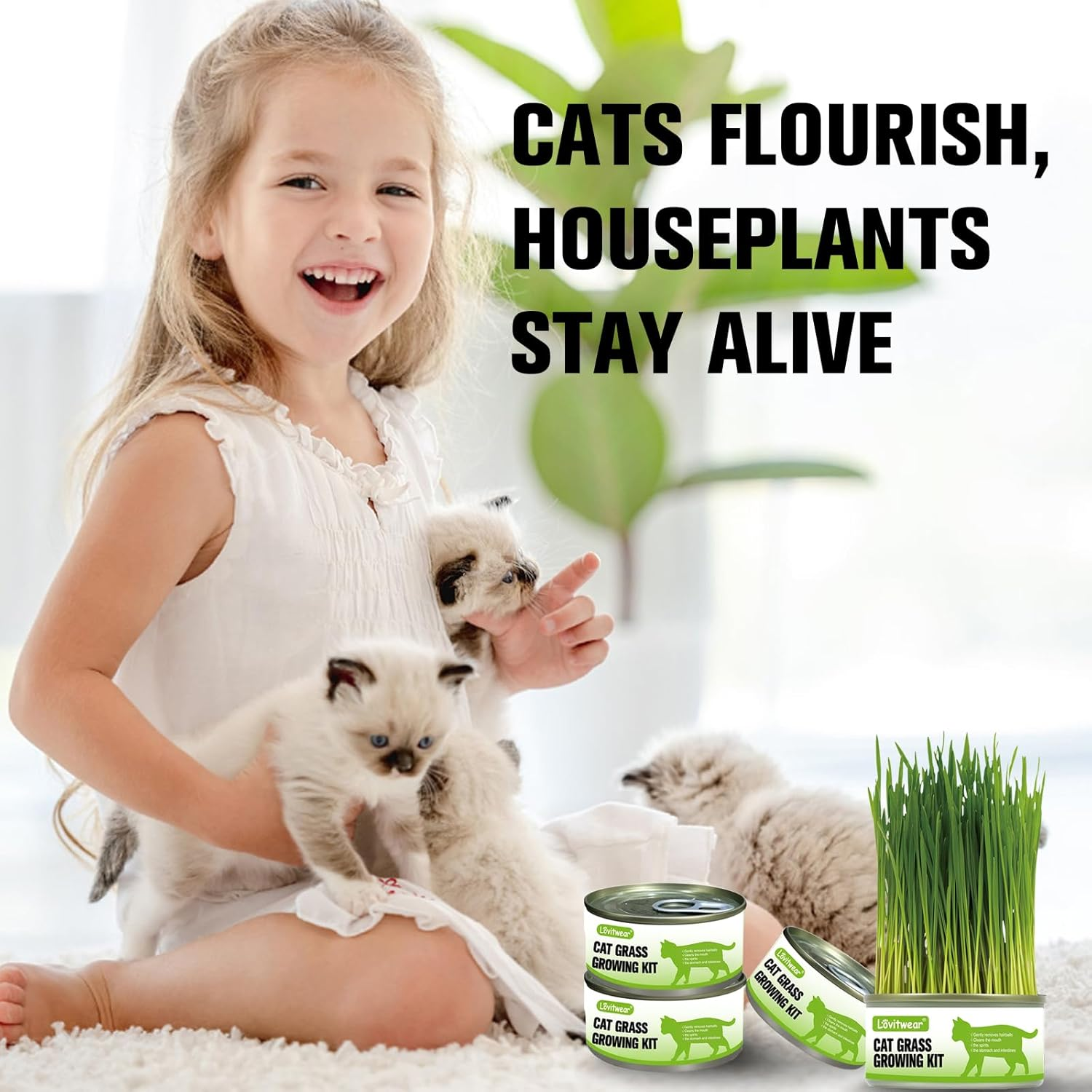 Premium Cat Grass Growing Kit - 4-Pack, Easy Planting for a Natural Treat for Cats and Other Pets image number 1