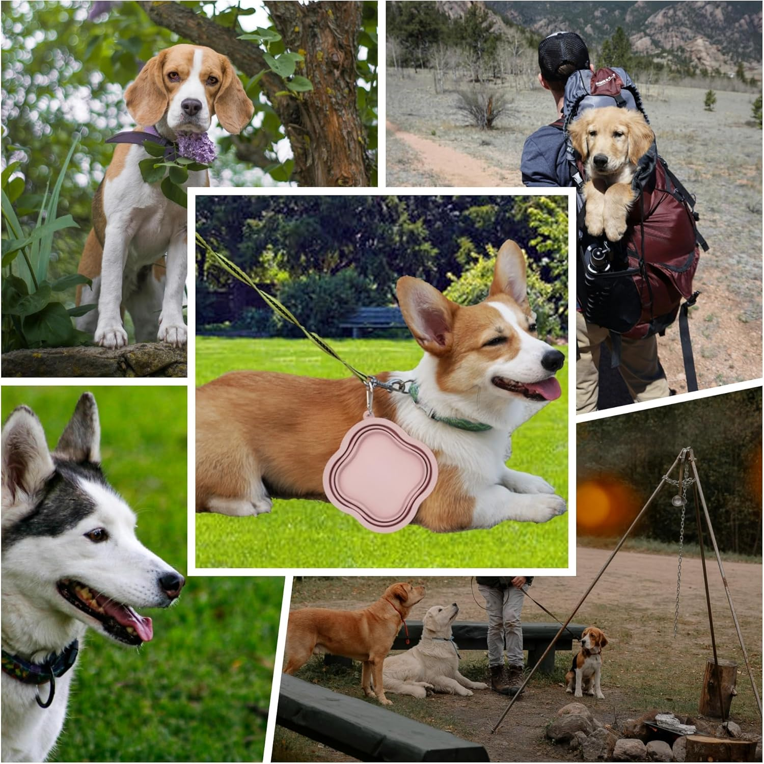 Silicone Collapsible Dog Bowl 500Ml - Portable Foldable Travel Bowl with Carabiner Clip for Camping/Hiking (Fits Pets 5-50Kg) (Purple) - Blue image number 4