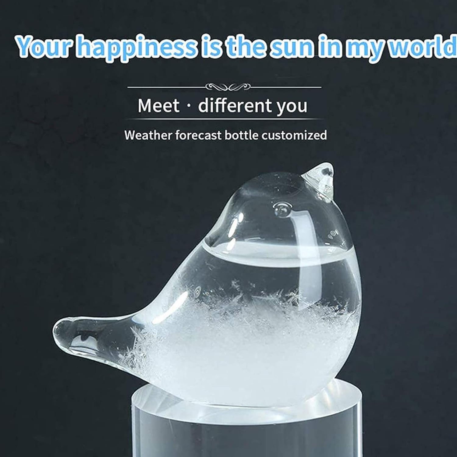 Weather Station Forecaster Decoration Craft, Bird Shape Storm Glass Weather Predictor, Desktop Weather Forecast Bottle Weather Predicting Globe Storm Glass Cloud Forecaster Xifeng - A image number 5