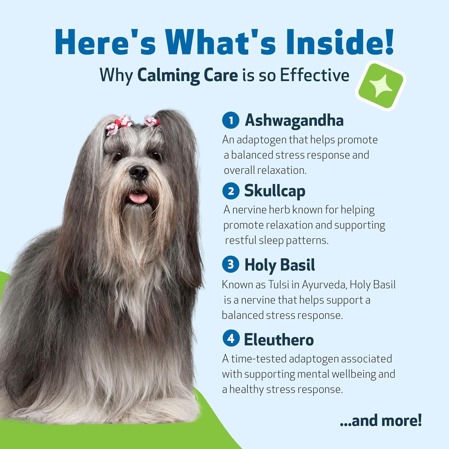 Pet Wellbeing Calming Care for Dogs - Calm Support, Relaxed Nervous System, Emotional Balance, Adaptogens, Ashwagandha, Holy Basil - Veterinarian-Formulated Herbal Supplement 2 Oz (59 Ml) image number 4