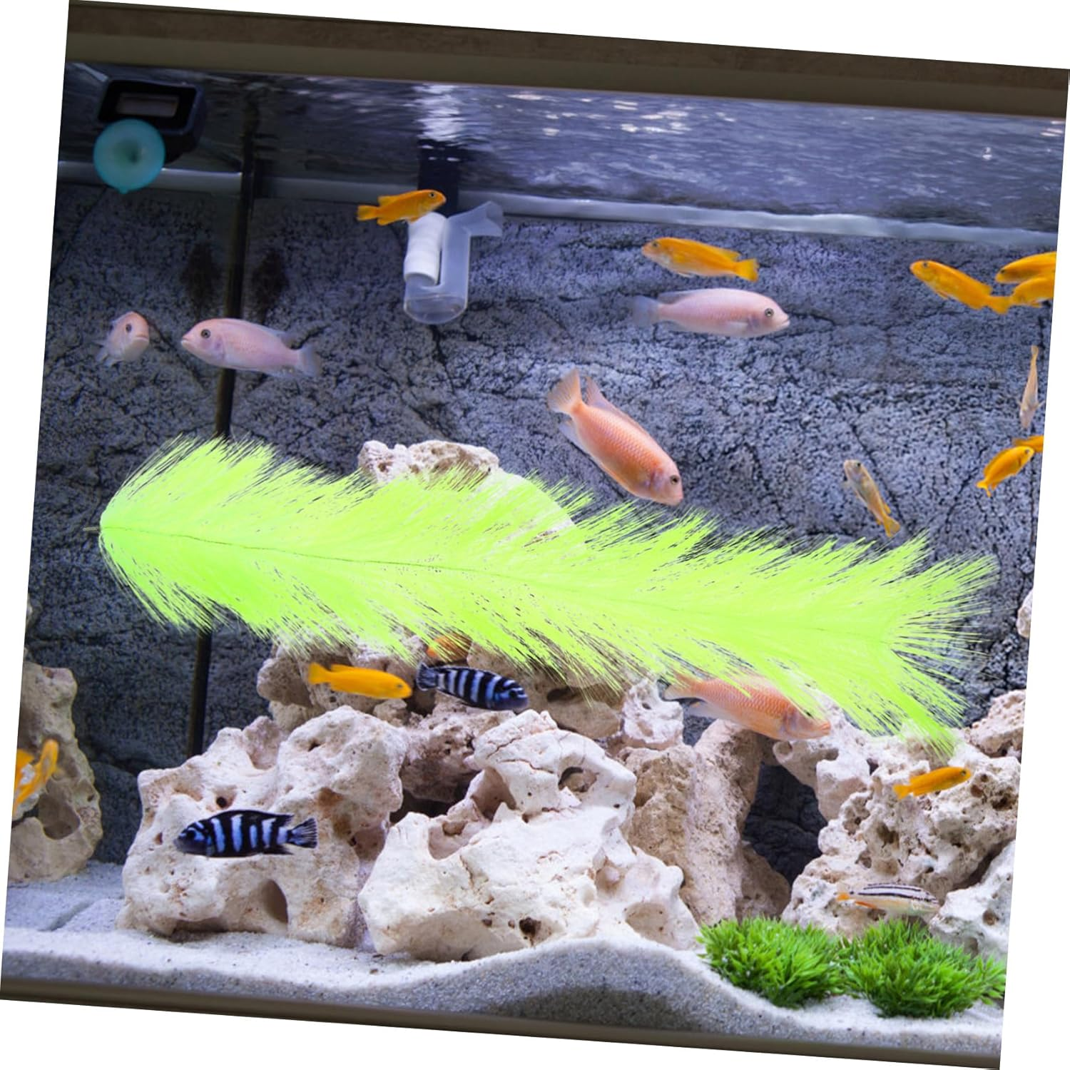 Balacoo Fish Breeding Grass with Stainless Steel Core Fish Tank Brush for Egg Hatching and Aquatic Pet Spawning Reliable Aquarium Hideout and Aquaculture image number 4