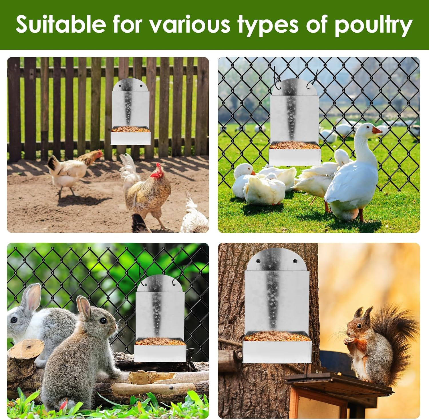 Chicken Oyster Shell Feeder, Metal Rooster Farm Grit Dispenser, Large Automatic Poultry Feeding Accessory for Duck Chicken Poultry image number 4