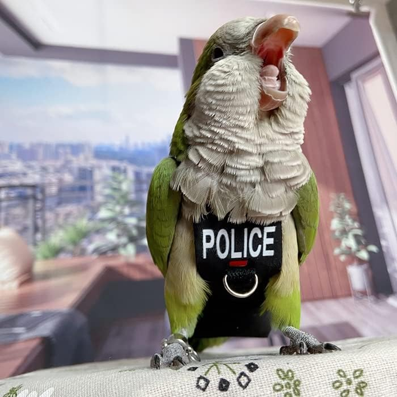 Bird Diaper Harness Flight Suit Clothes, Parrot Flight Suit with Leash for Parrot, Bird Flying Clothes with Rope and Handle for Outdoor Activities Training (With Leash - Xx-Large)