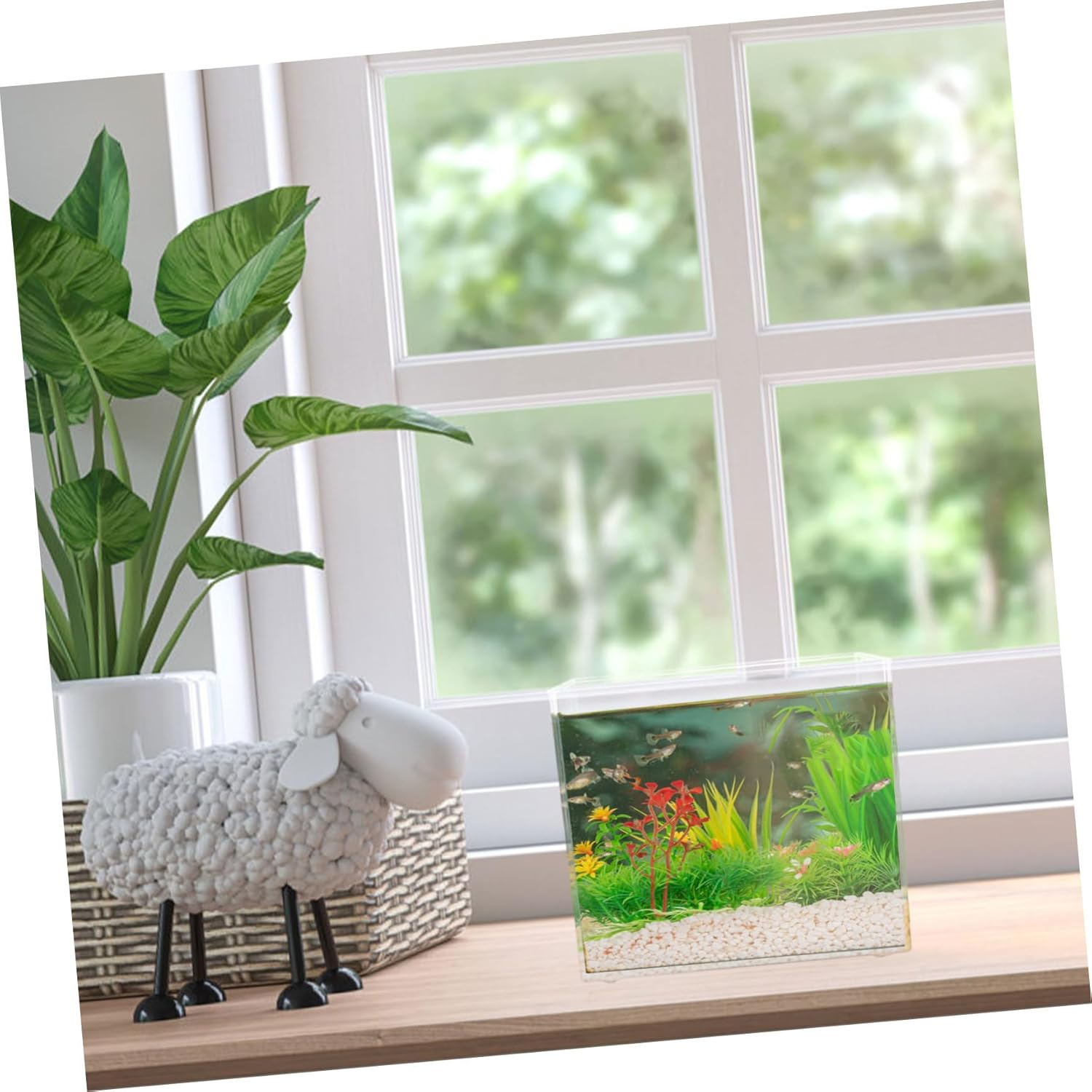 ERINGOGO Transparent Mini Goldfish Tank Square Plastic Aquarium for Desktop Crack Resistant Fish Bowl for Home Office Garden Decor Easy Maintenance Open Tank for Aquatic Pets image number 4