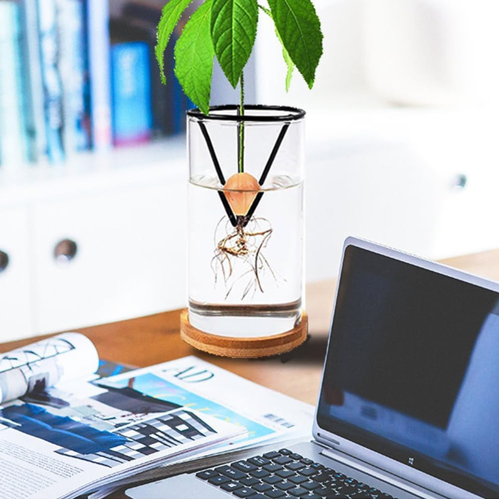 Avocado Tree Planter Pot, 2 Pack Avocados Tree Growing Kits, Avocados Growing Vase Wooden Base with Metal Triangle Bracket and Bamboo Base for Grow Avocado Seeds, Herbs and Small Trees image number 2