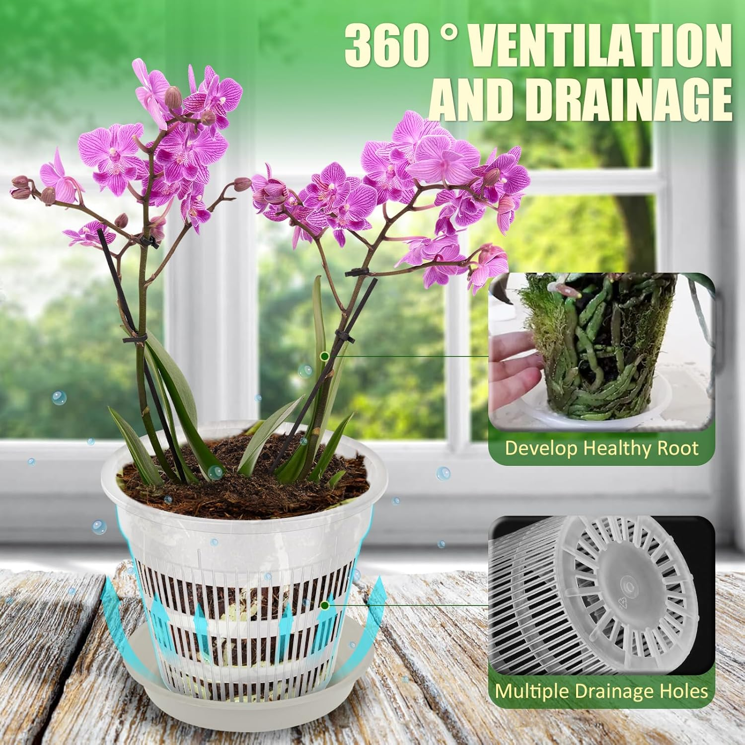 Fwqofvk 15Pcs Plastic Clear Orchid Pot for Root Health, 3 Sizes Orchid Repotting Pot with Hole and Saucer, Breathable Slotted Pot Flower Plant Pot for Small Plants image number 1