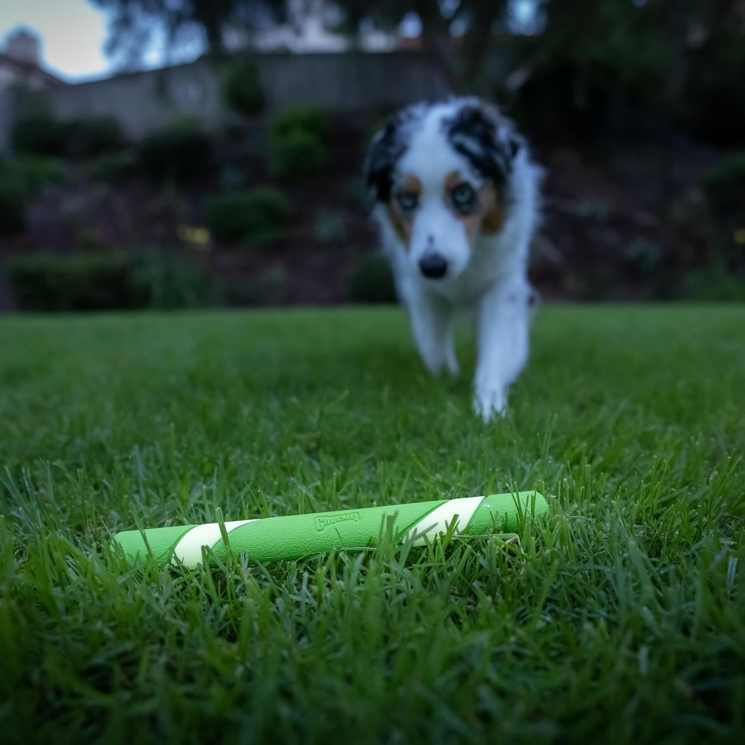 Chuckit! Max Glow Dog Toy Ultra Fetch Stick Dog Throw Toy for Interactive Play Glow in the Dark image number 4