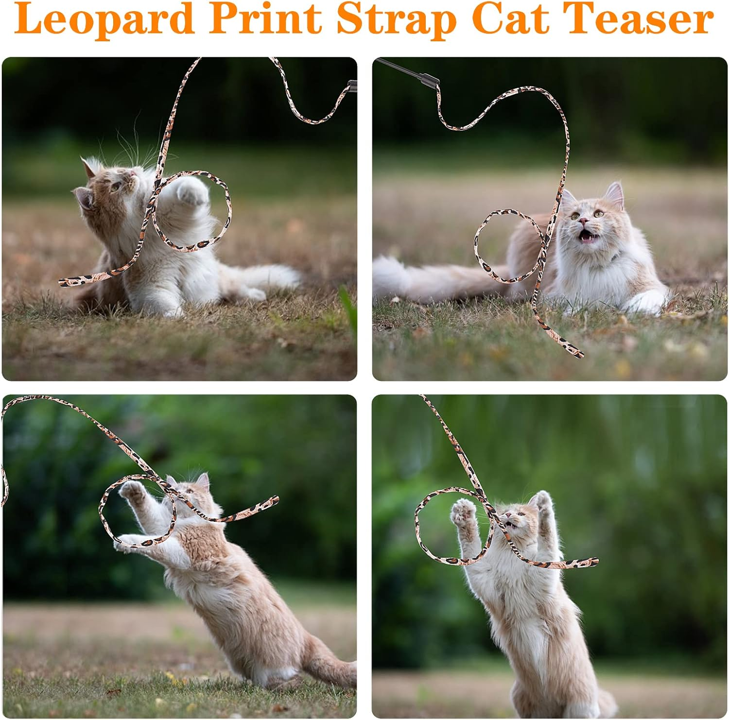 Molain Cat Wand Rainbow Toy - 5Pcs Ribbon for Kittens Training, Interactive Stick Toy for Kitten Exerciser Playing (30Cm, Leopard Print) image number 1