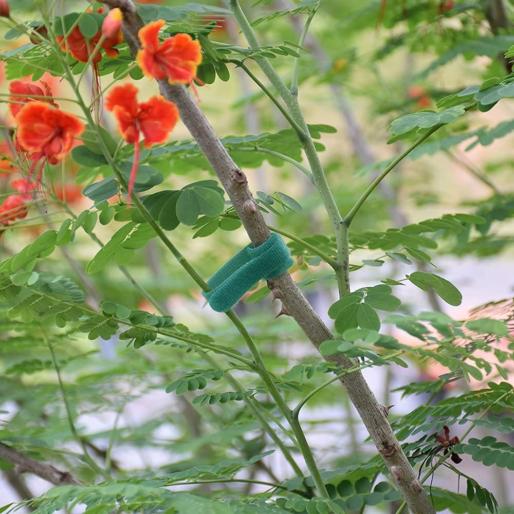 Garden Hook＆Loop Plant Cable Ties, Multi-Functional Ties, Adjustable Garden Nylon Ties for Supporting Plant and Vines(50 Pcs, 8 Inch, Green) image number 2