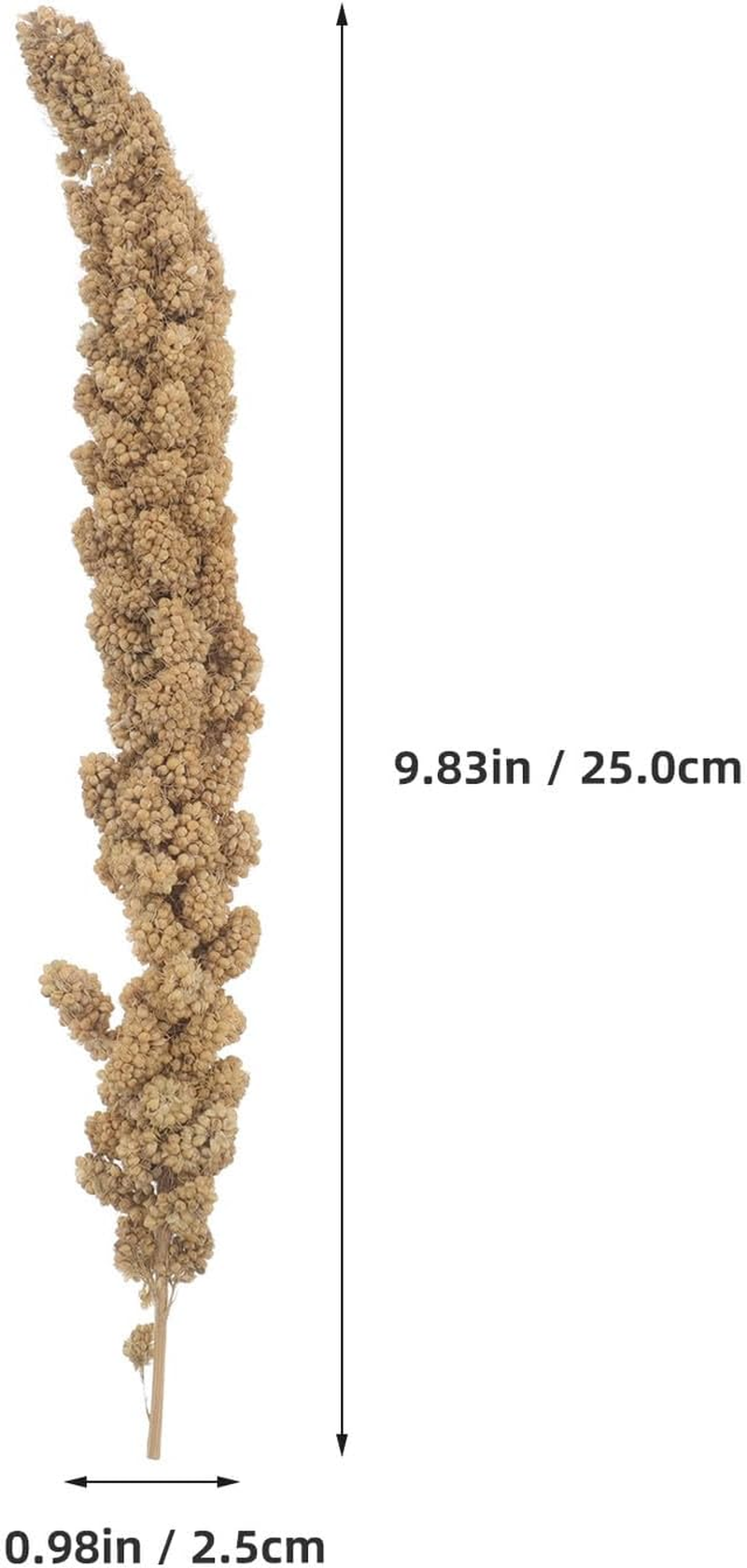 Abaodam Millet Treat for Parakeets and Budgies 500G Natural Dried Millet Sticks Bird Snack Food for Cockatiels Finches Small Pet Supplies image number 4