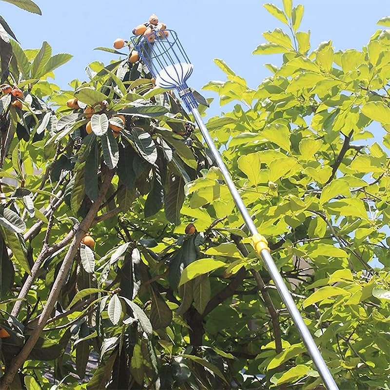 Horticultural Convenient Labor Saving Fruit Picker Tool Apple Picking Garden, Sturdy Lightweight Design, 13.6X5.7 Inches image number 1