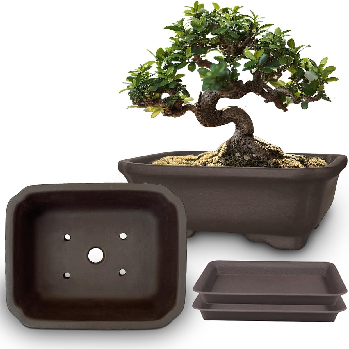 MUZHI 2PACK Unglazed 6&rdquo; Ceramic Bonsai Pot with Humidity Trays, Breathable Handmade Rectangle Bonsai Planter for Starter Bonsai Tree, Juniper,Ficus, Money Tree image number 2
