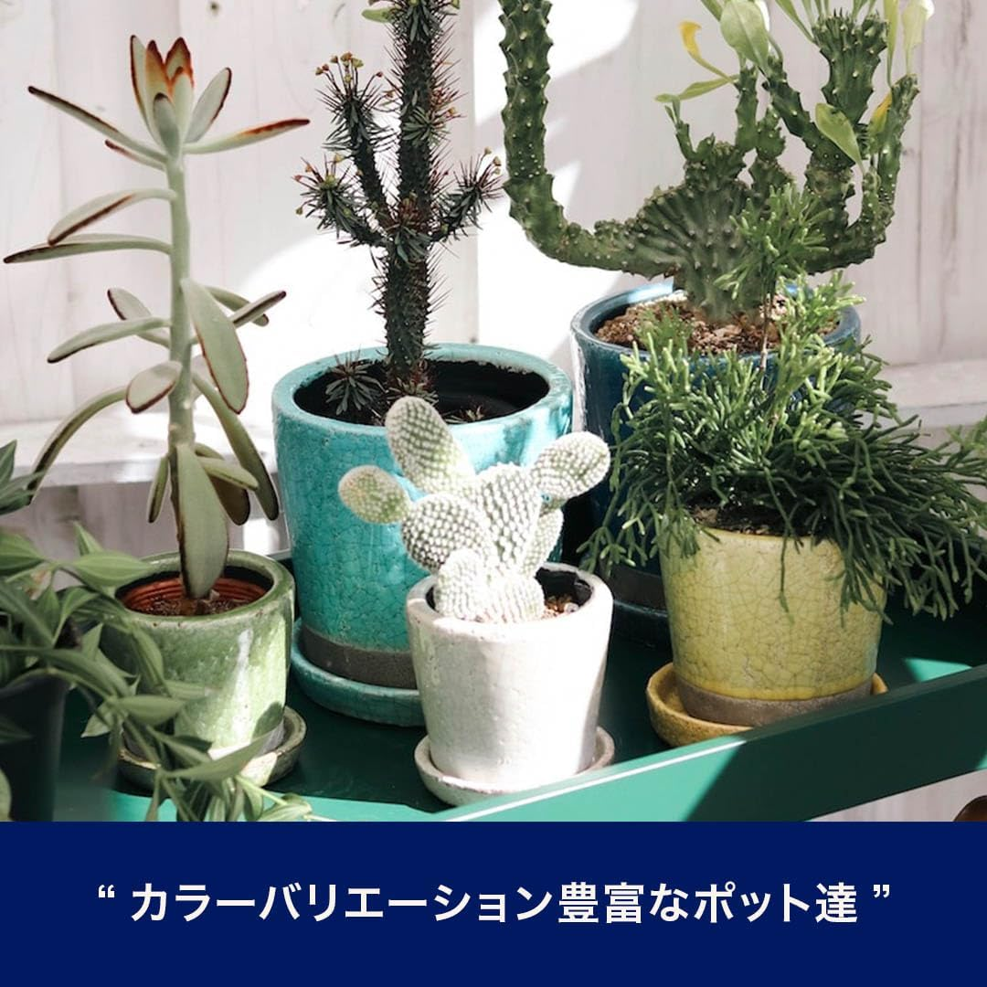 Dulton CH13-G476LGN Color Glazed Pot, Gardening Supplies, Color Lime Green, Size M, with Bottom Hole