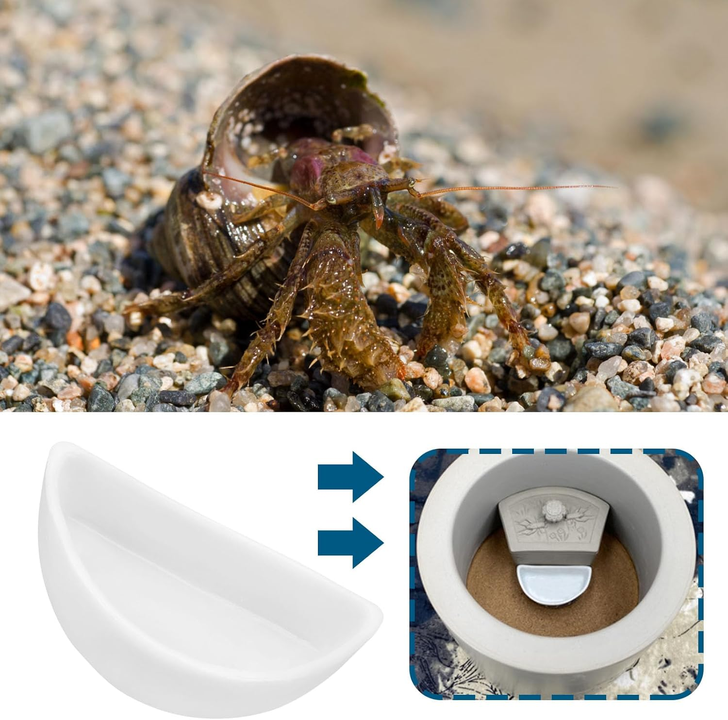 Ecsing 6PCS Hermit Crab Mini Ceramic Dish 4.21X2X1.05Cm Semicircle Shape Reptile Food Bowl for Spider Hermit Crab Tarantula Millipede White image number 2