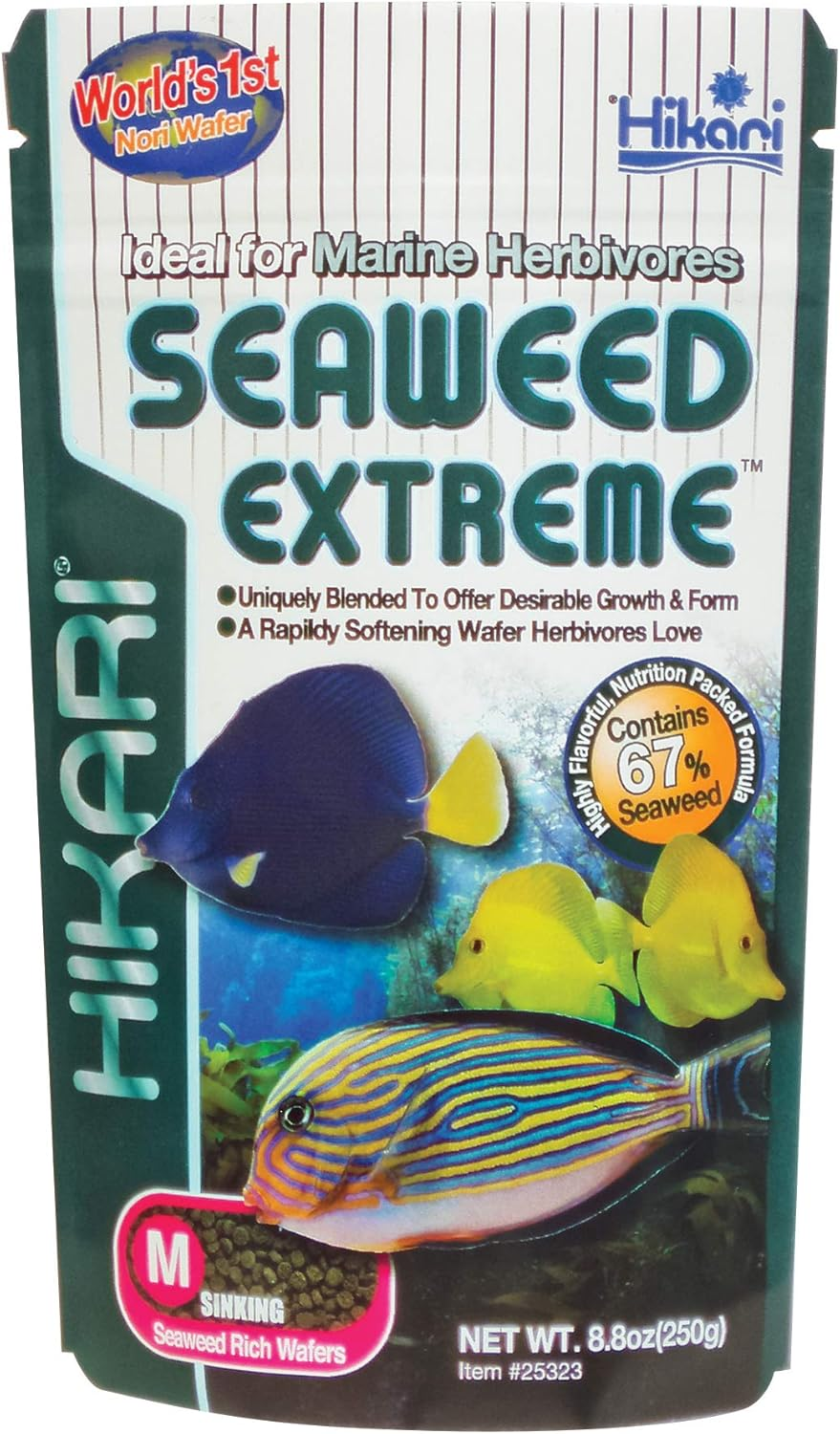 Hikari Usa Inc AHK25323 Seaweed Extreme 8.8-Ounce image number 1