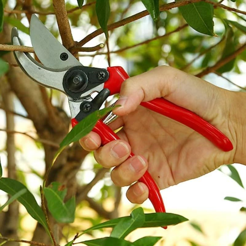 Professional Grade Bypass Pruner - Heavy Duty Gardening Shears with Ultra-Sharp Stainless Steel Blades & Ergonomic Non-Slip Grips - Precision Plant Trimming Tools for Roses, Branches, Hedges image number 1