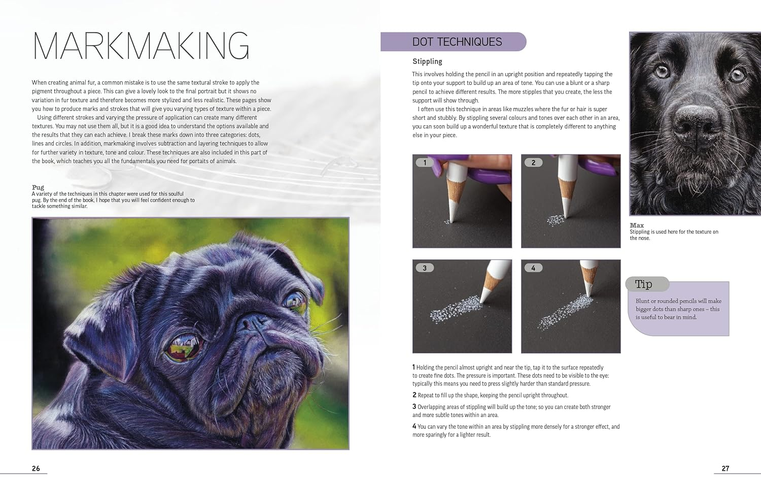 Drawing Animal Portraits in Coloured Pencil image number 3