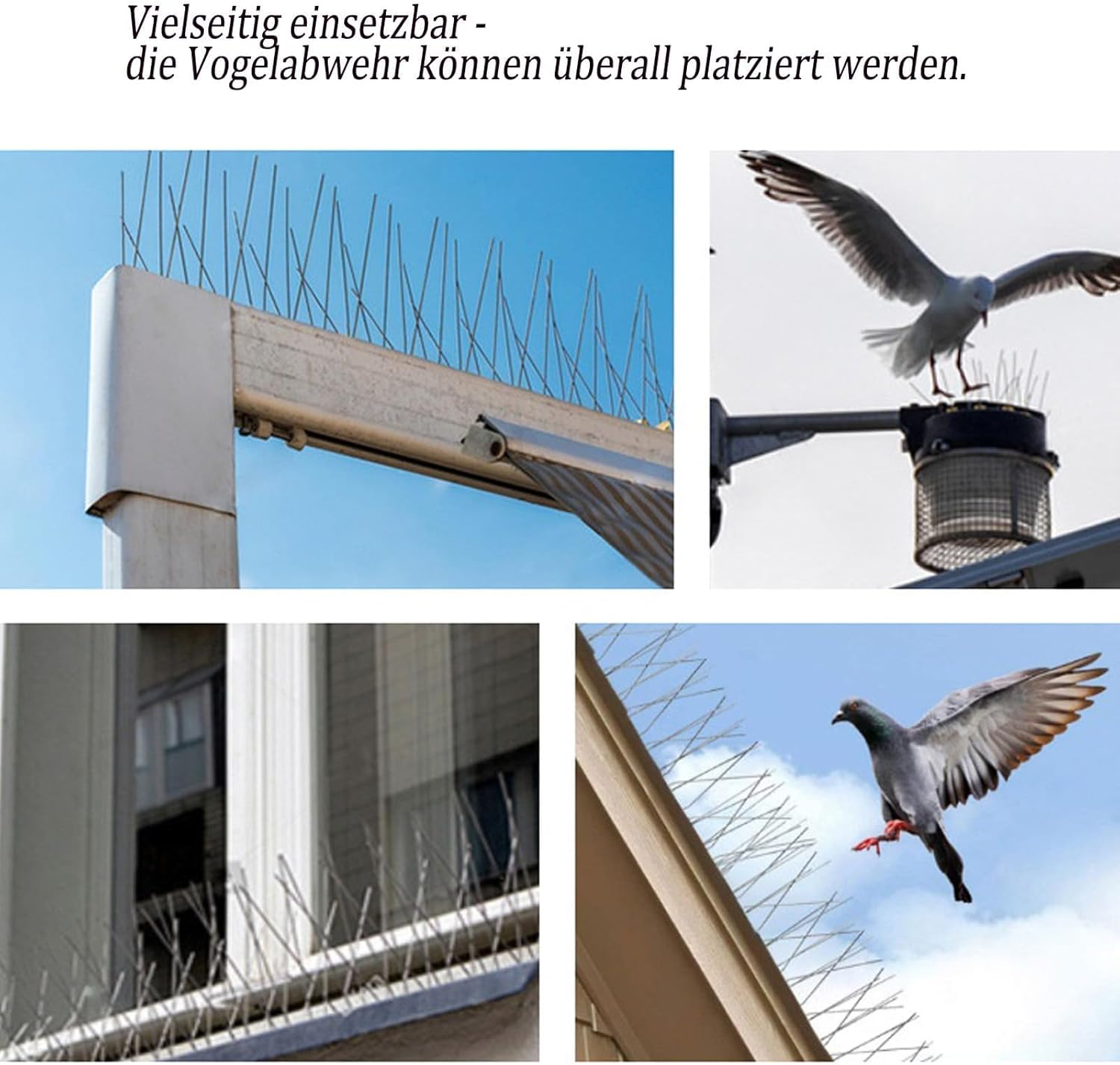 10 Pack Stainless Steel Bird Spikes, Bird Squirrel Raccoon Cat Fox Pigeon Intruder Deterrent Fence anti Bird Spikes, Garden Security Bird Deterrent Spikes for Balcony, Windows and Roof image number 1