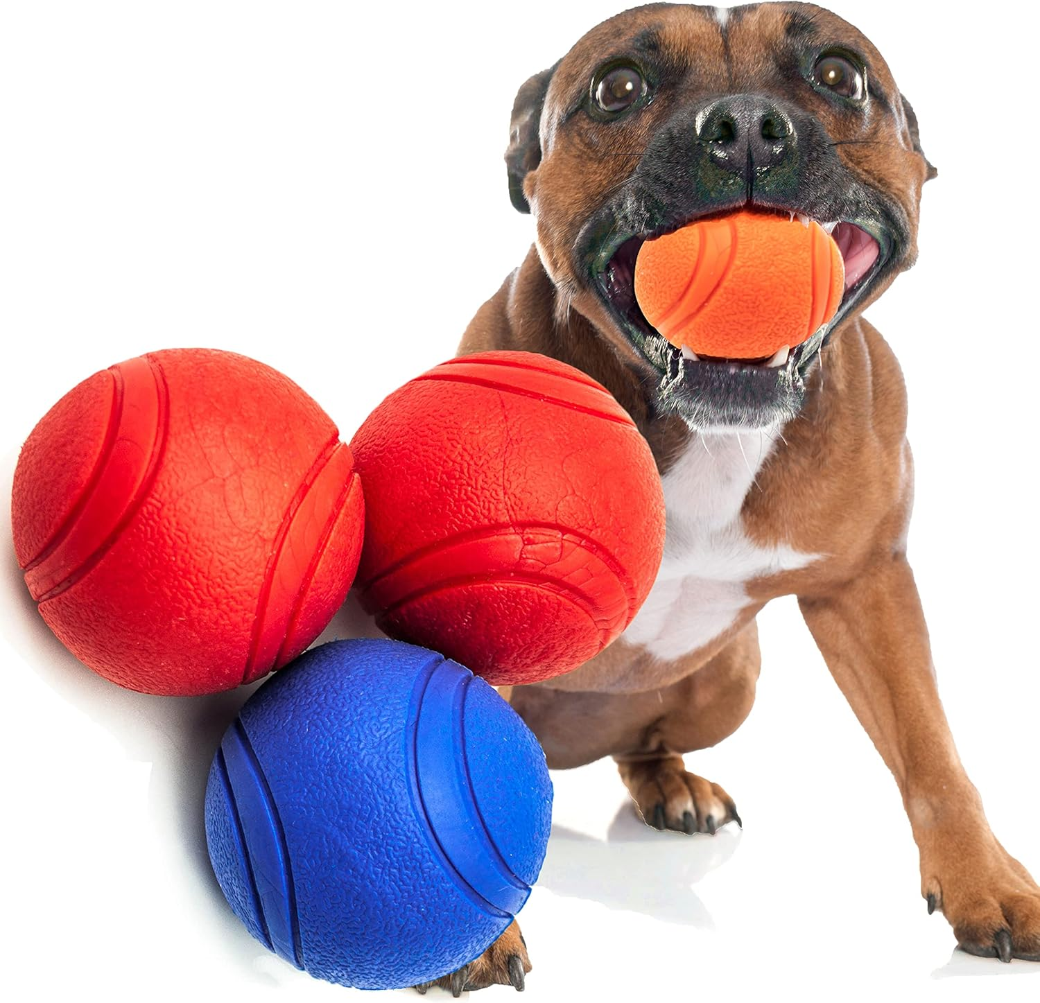2 X Strong Solid Rubber Ball HIGH BOUNCING Tough Dog Toys Indestructible Virtually Interactive Dog Toys for Boredom Strong Natural Rubber Balls for Dogs (Blue+Orange (2 Balls), 2 Inches)