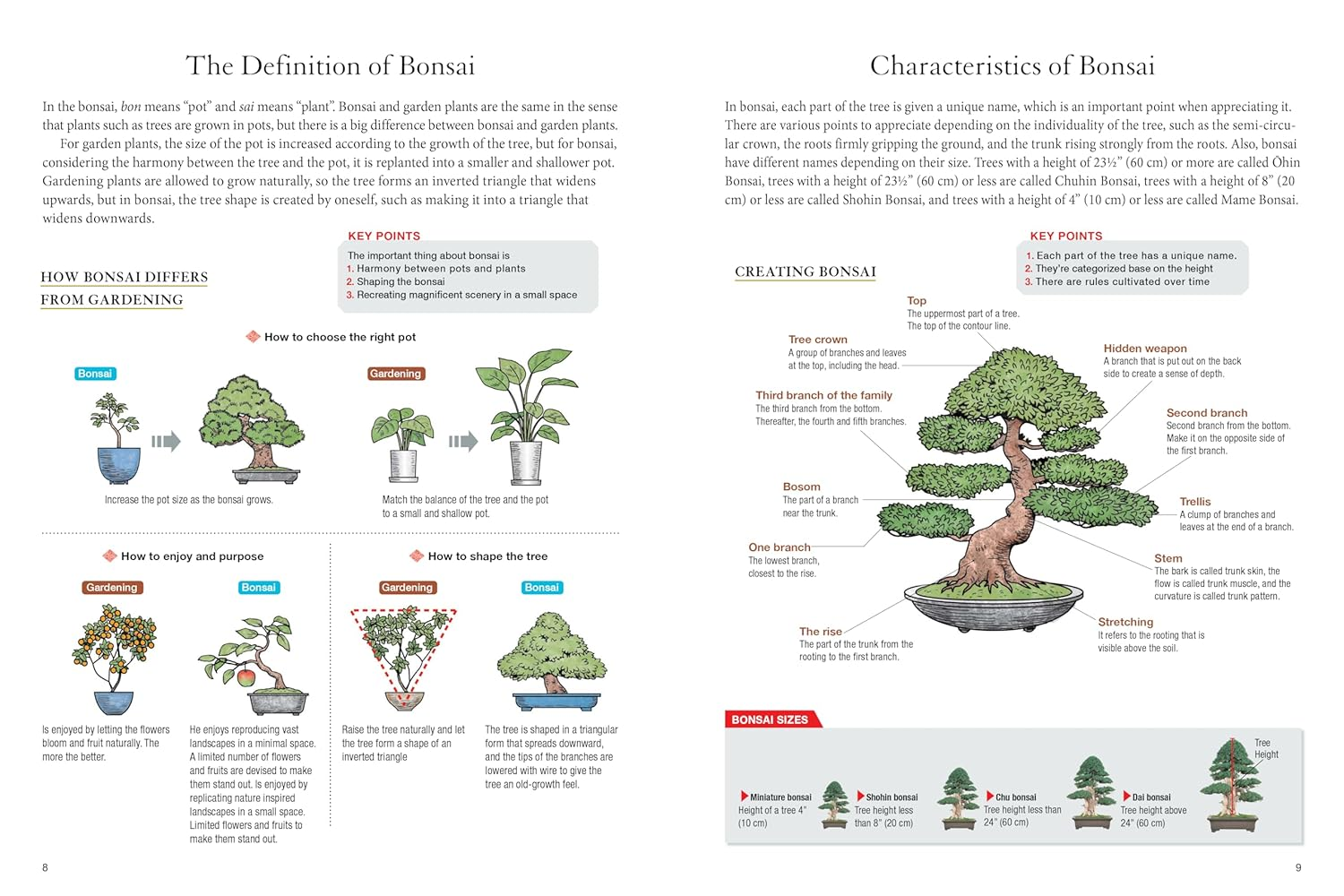 Bonsai Master Class: Lessons and Tips from a Japanese Master for All the Most Popular Types of Bonsai (With over 600 Photos & Diagrams) image number 6