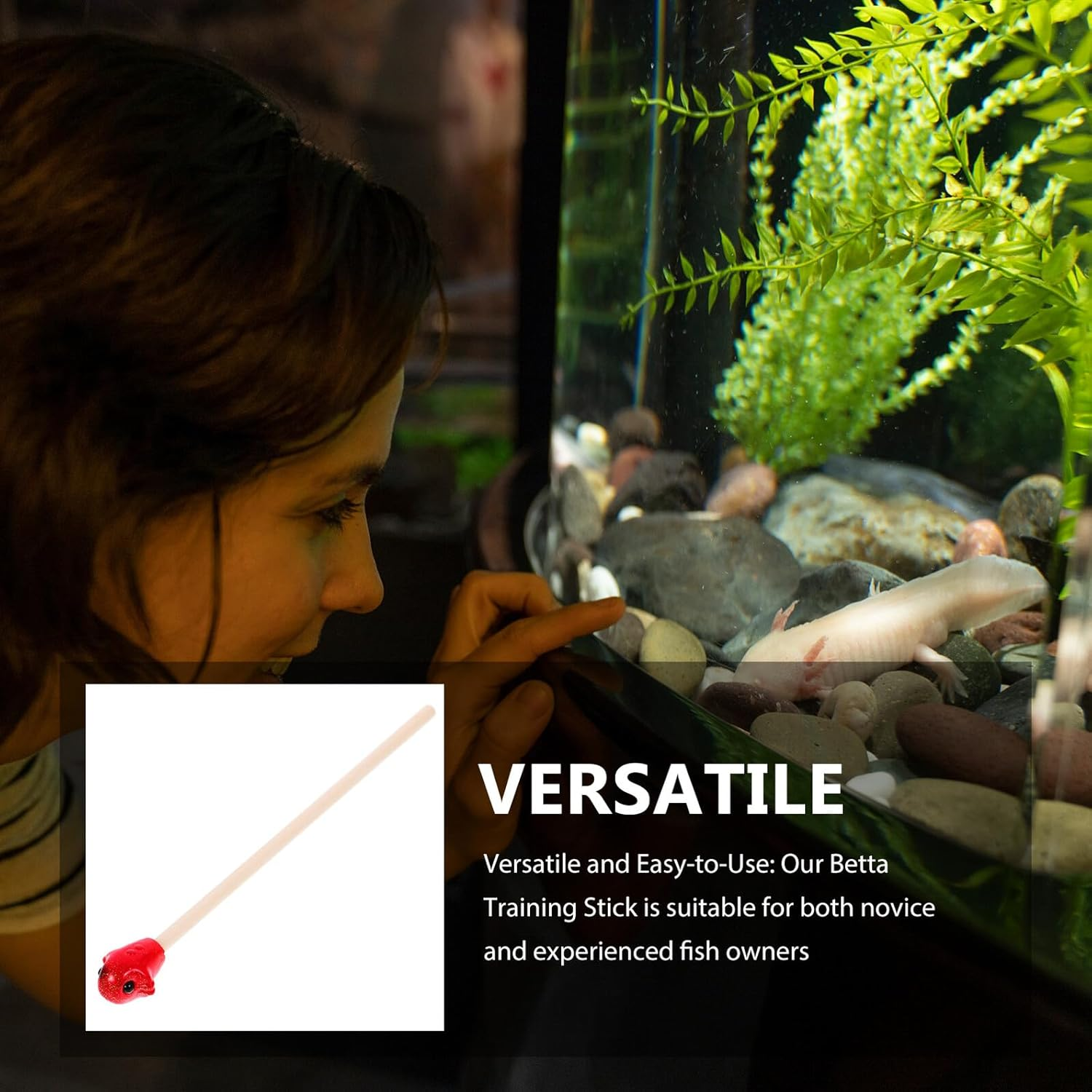 Alasum Betta Fish Training Wand Wooden Interactive for Betta Tank Exercise and Fish Activity Safe Material for Aquarium Pets and Desktop Aquariums image number 2