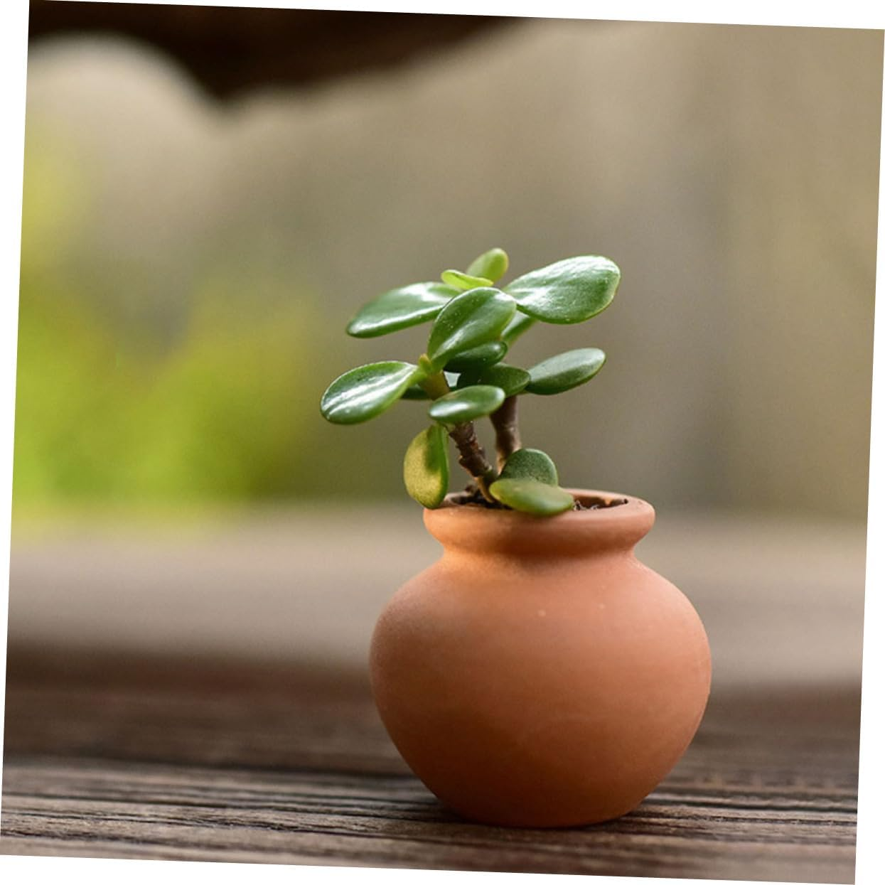 Milisten 6Pcs Small Plants Holder Pot Holder Terracotta Pots Holders Terracotta Pots Aquarium Pots for Desi Breathable Plant Pots Mini Container Jar Clay Light Brown image number 5