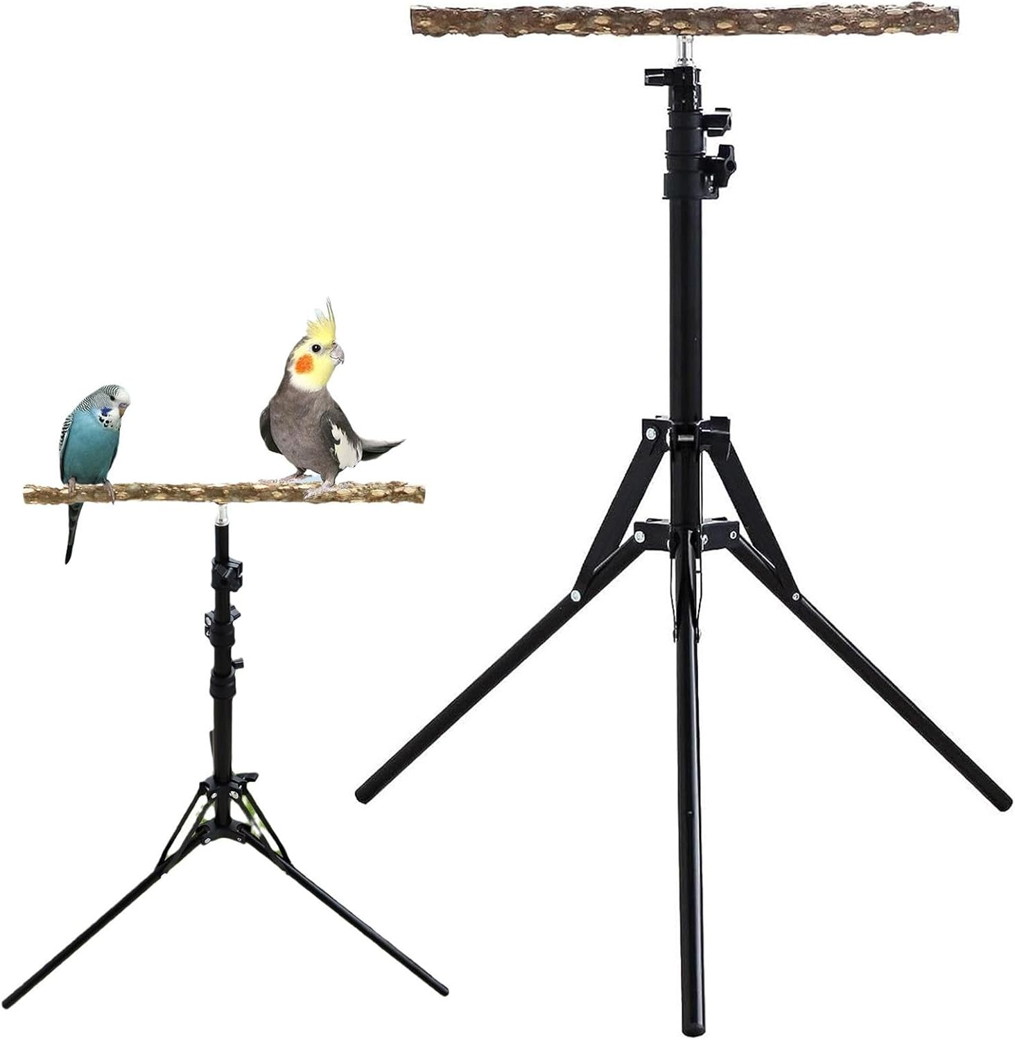 Adjustable Bird Perch Stand - Height-Extendable Parrot Training Stand | Natural Wood Bird Rest, Indoor Outdoor Grooming Perch, Sturdy Wooden Play Gym, Multi- Aviary, Freestanding Perch image number 6