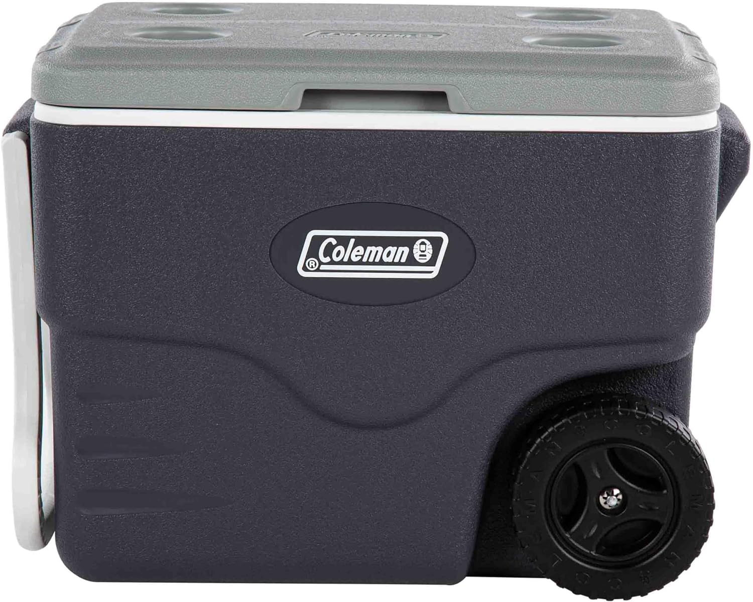 Coleman Daintree Cooler | Durable Design, Portable Cooler, Outdoor or Indoor Use, Grey image number 3