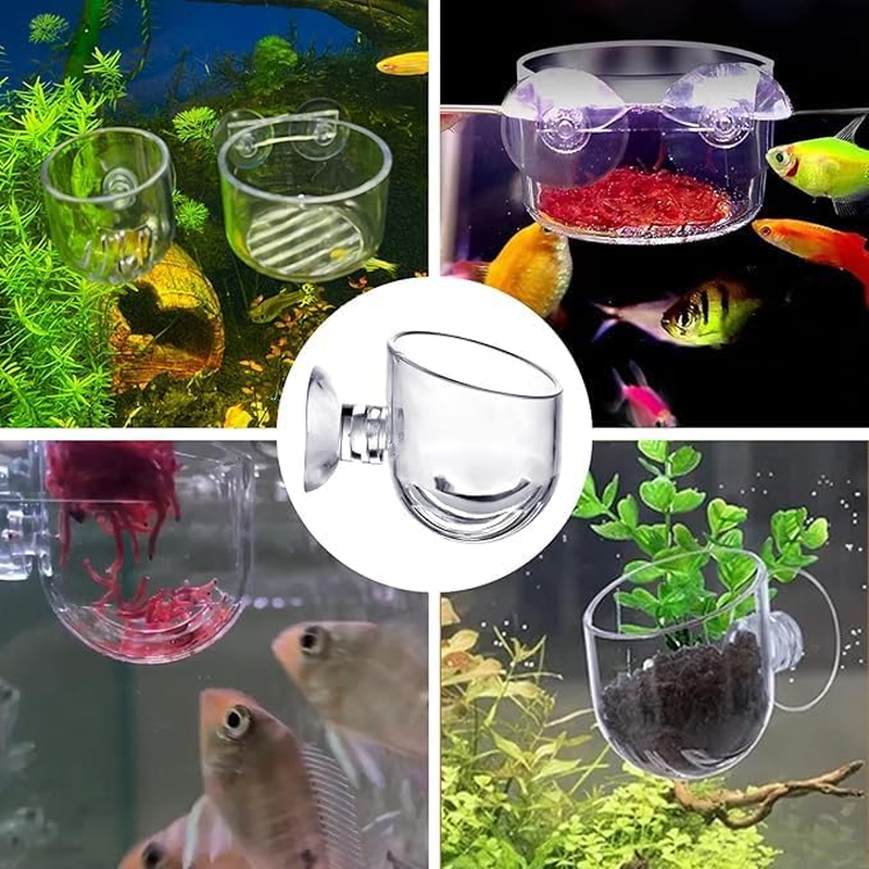 Acrylic Aquatic Plant Holder with Suction Cup, 8Pcs Crystal Glass Aquatic Plant Pot with Suction Cup,Aquatic Plant Cup Pots Acrylic Water Plant Cup with Suction Cup,Aquatic Plant Cup with Suction Cup image number 4
