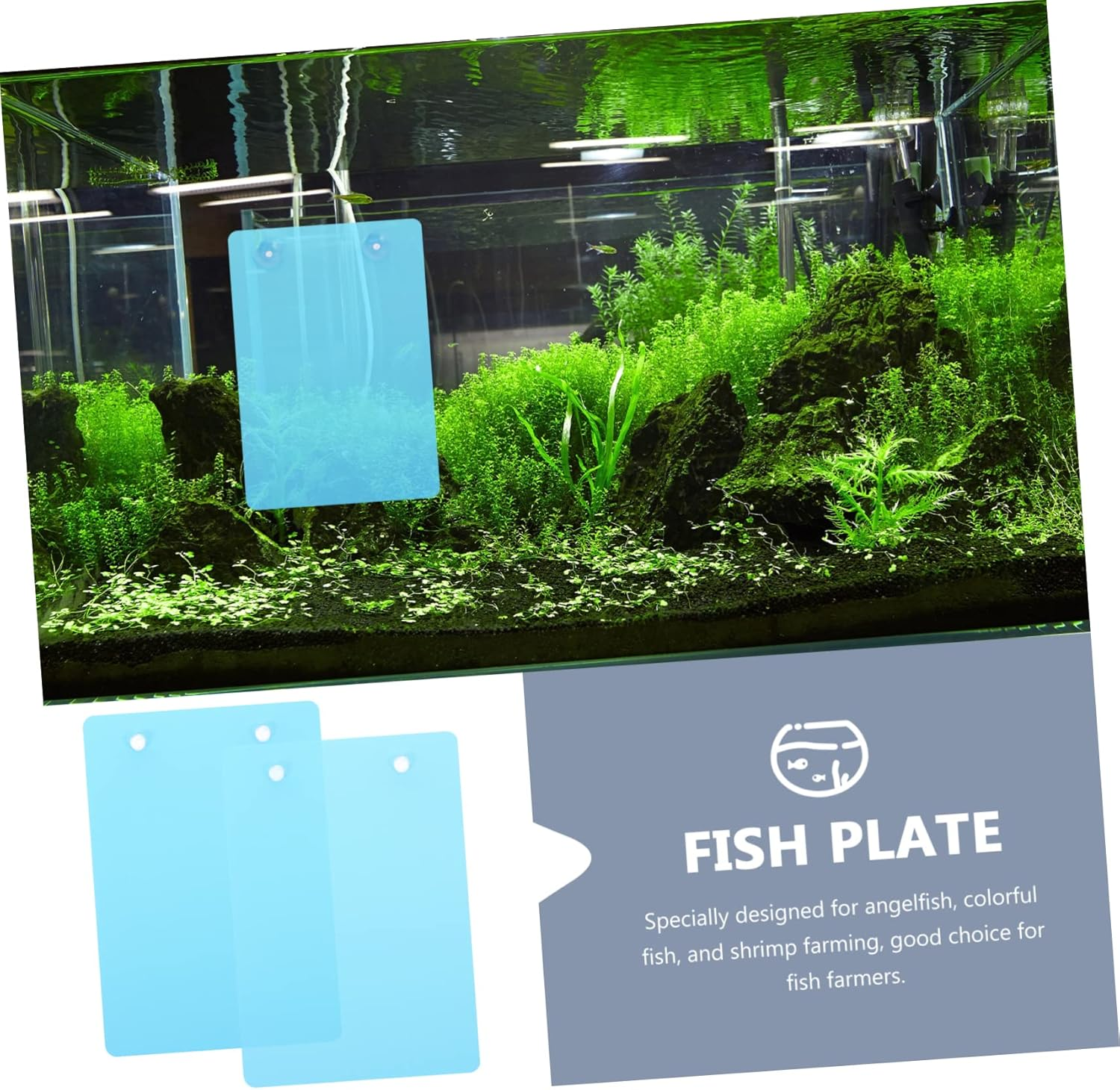 CLISPEED Fish Tank Breeding Plate with Suction Cups 2Pcs Blue Plastic Spawning Board for Aquarium Fish Breeding and Safety Isolation in Aquatic Pets Tank image number 6