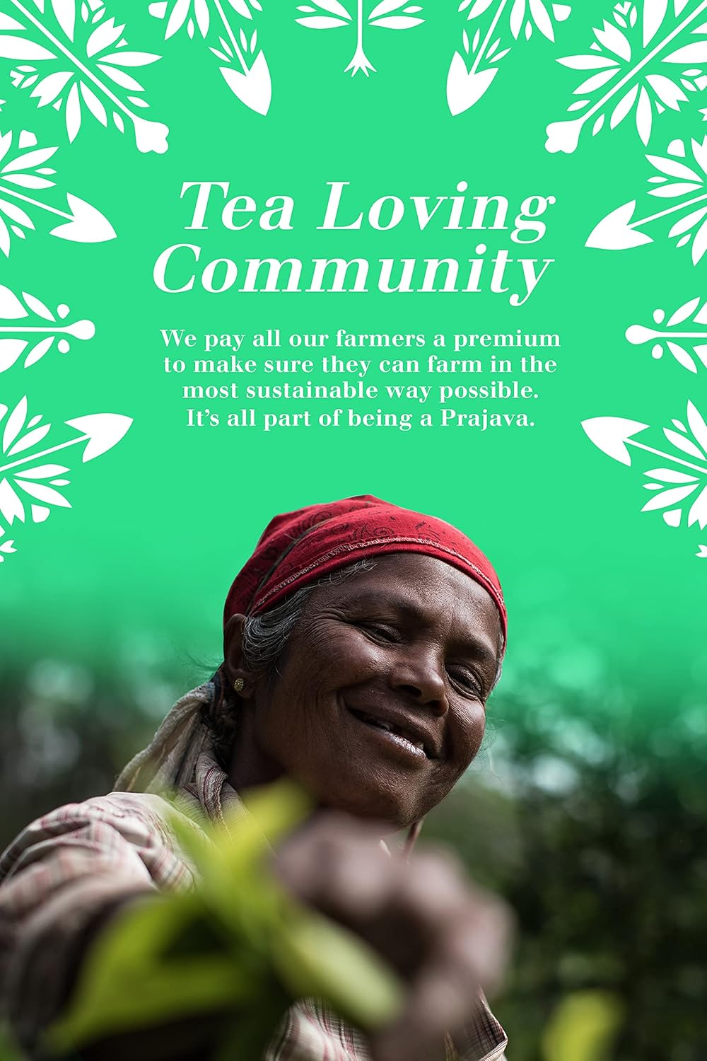 English Tea Shop - Book Style Green- Advent Calendar - 25 Pyramid Tea Bags, 50G image number 5